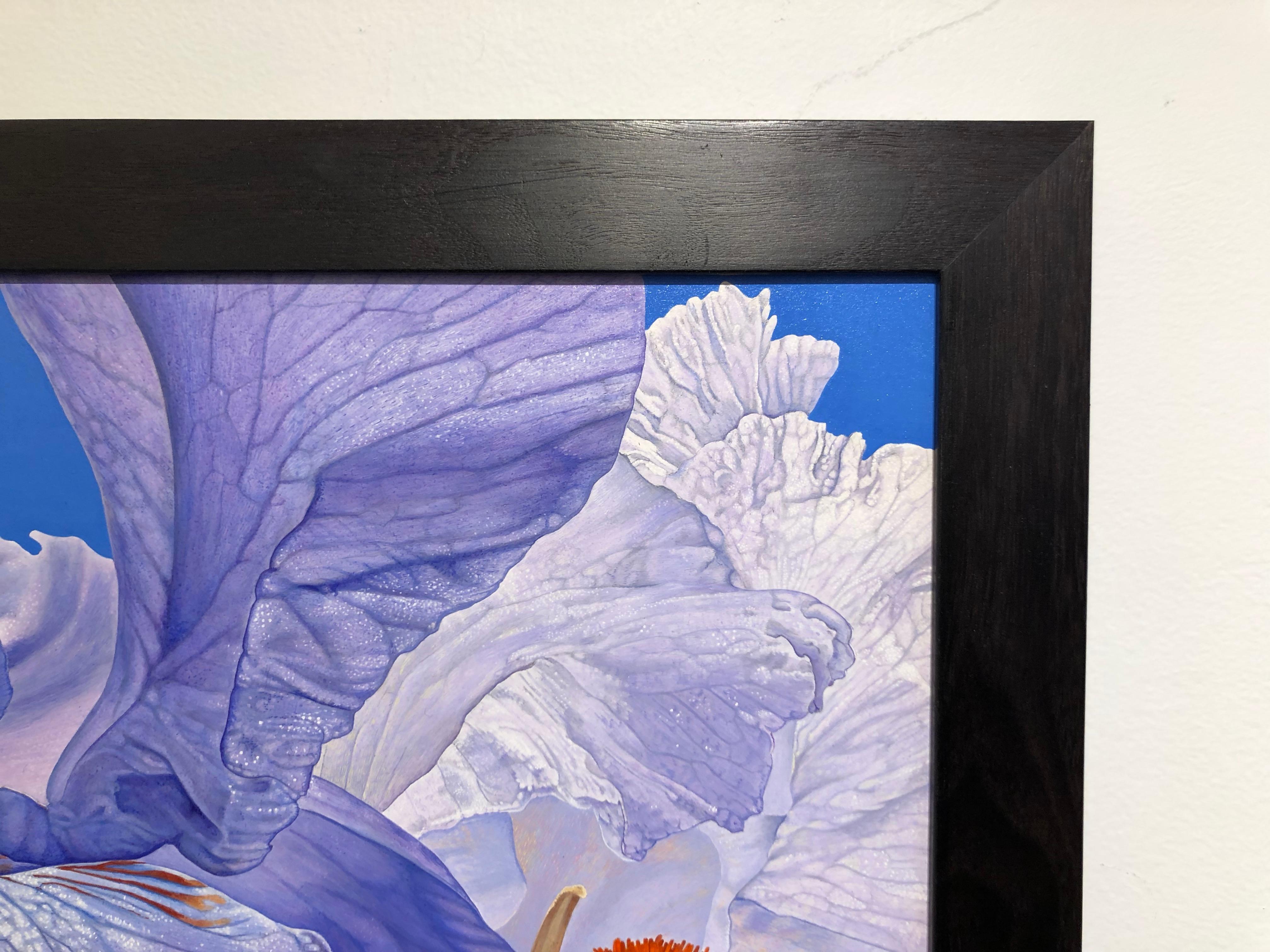 Iris mit Hummel - Hochdetaillierte fotorealistische Nahaufnahmen der Natur (Fotorealismus), Painting, von Rick Pas