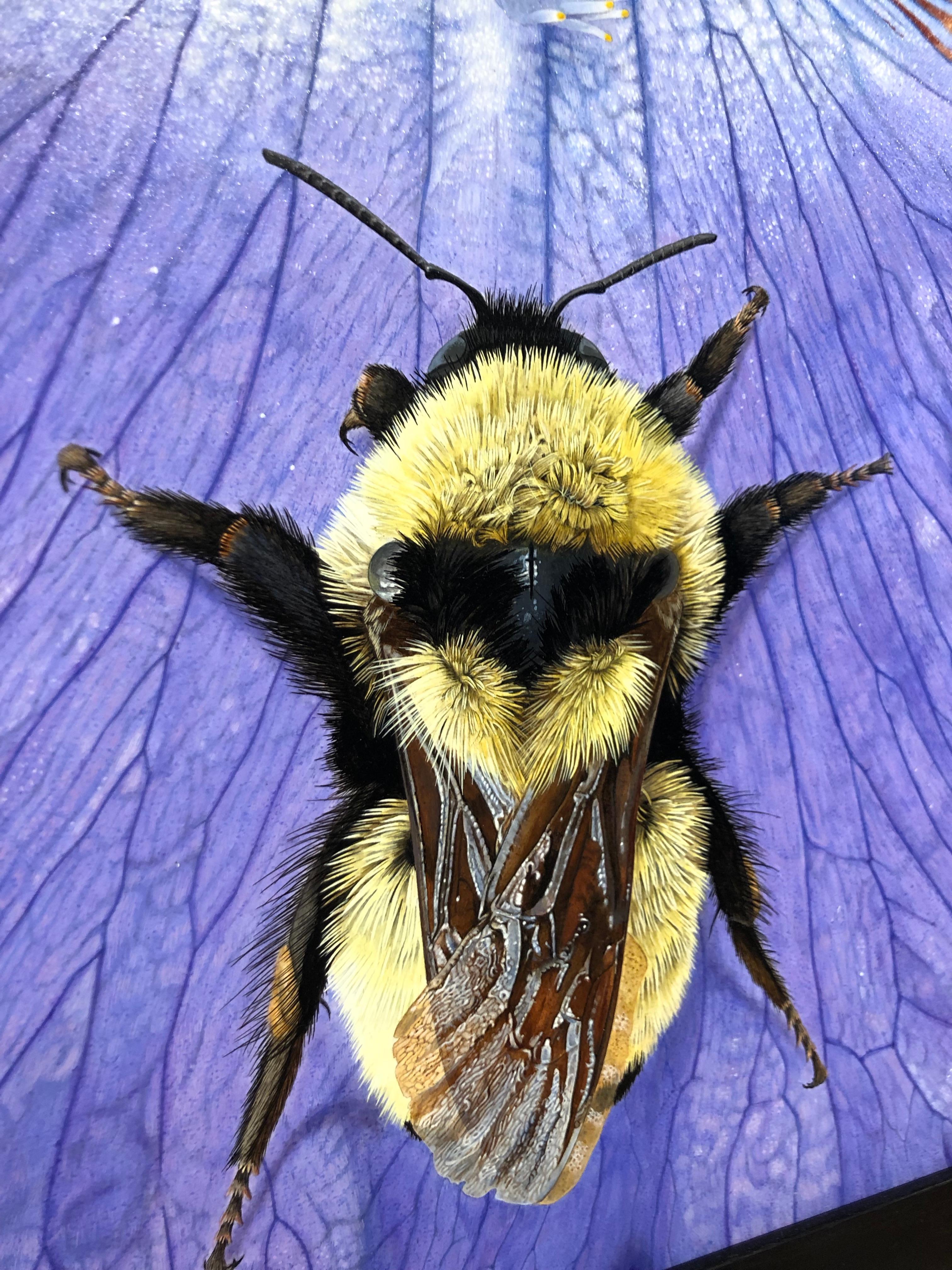 Iris mit Hummel - Hochdetaillierte fotorealistische Nahaufnahmen der Natur (Violett), Animal Painting, von Rick Pas