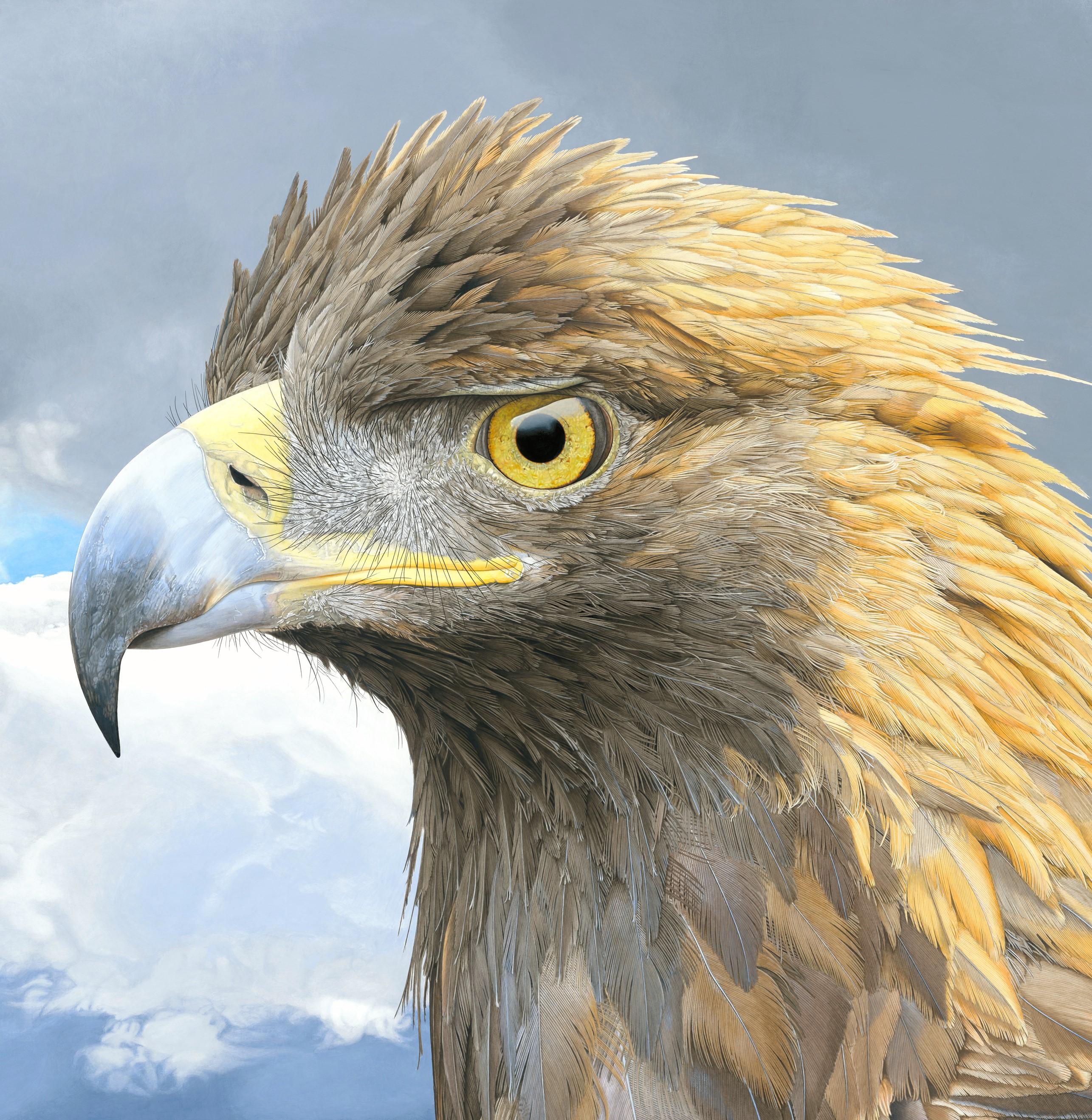 Polychrome Eagle - Photorealistic Portrait of a Golden Eagle In Denali, Framed - Painting by Rick Pas