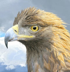 Aquila policroma - Ritratto fotorealistico di un'aquila reale a Denali, con cornice