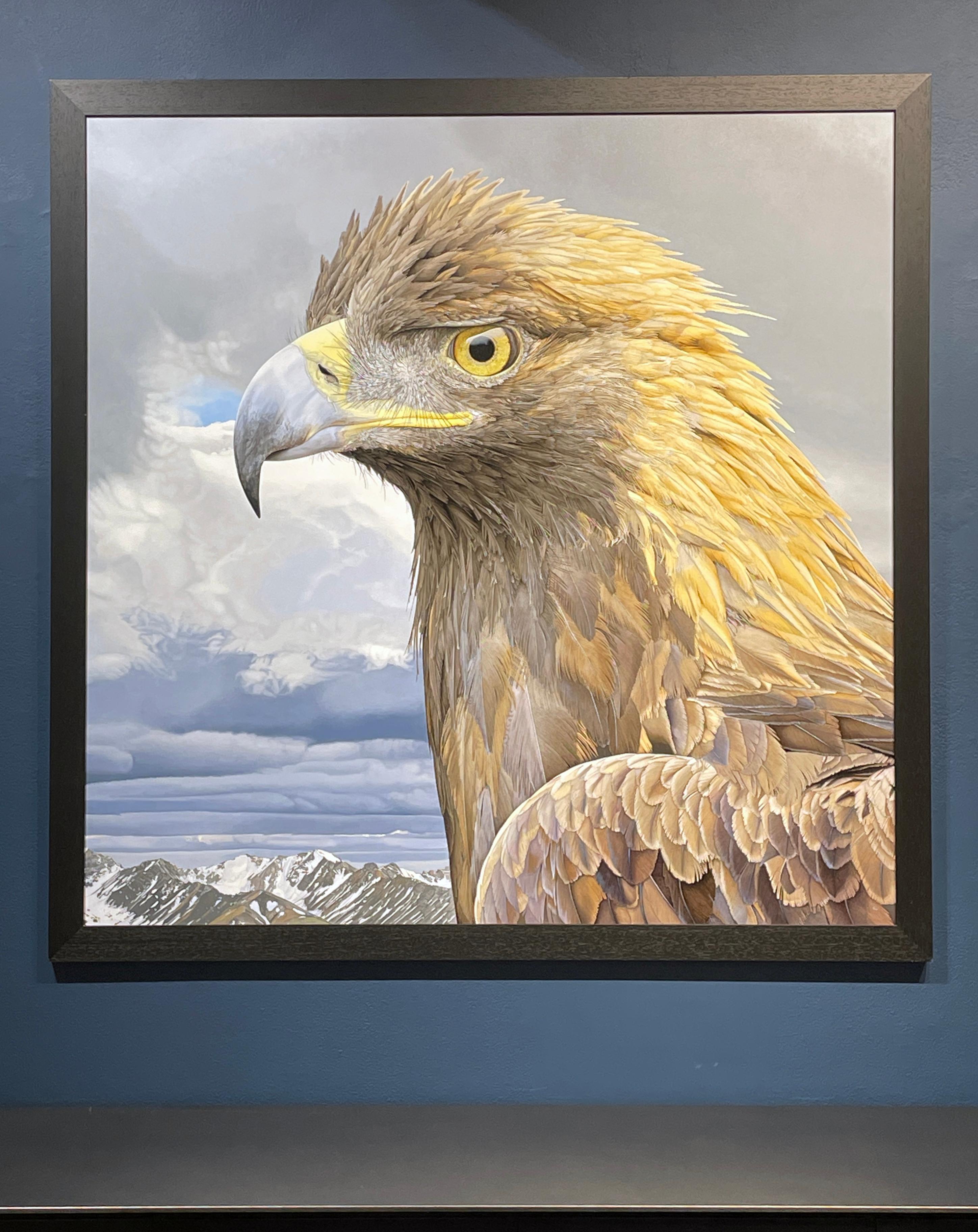 Set against the Polychrome Pass in Denali National Park in Alaska, this majestic female Golden eagle is painted in a traditional portrait style often reserved for military personnel.  Artist Rick Pas turns this tradition onto birds of prey with