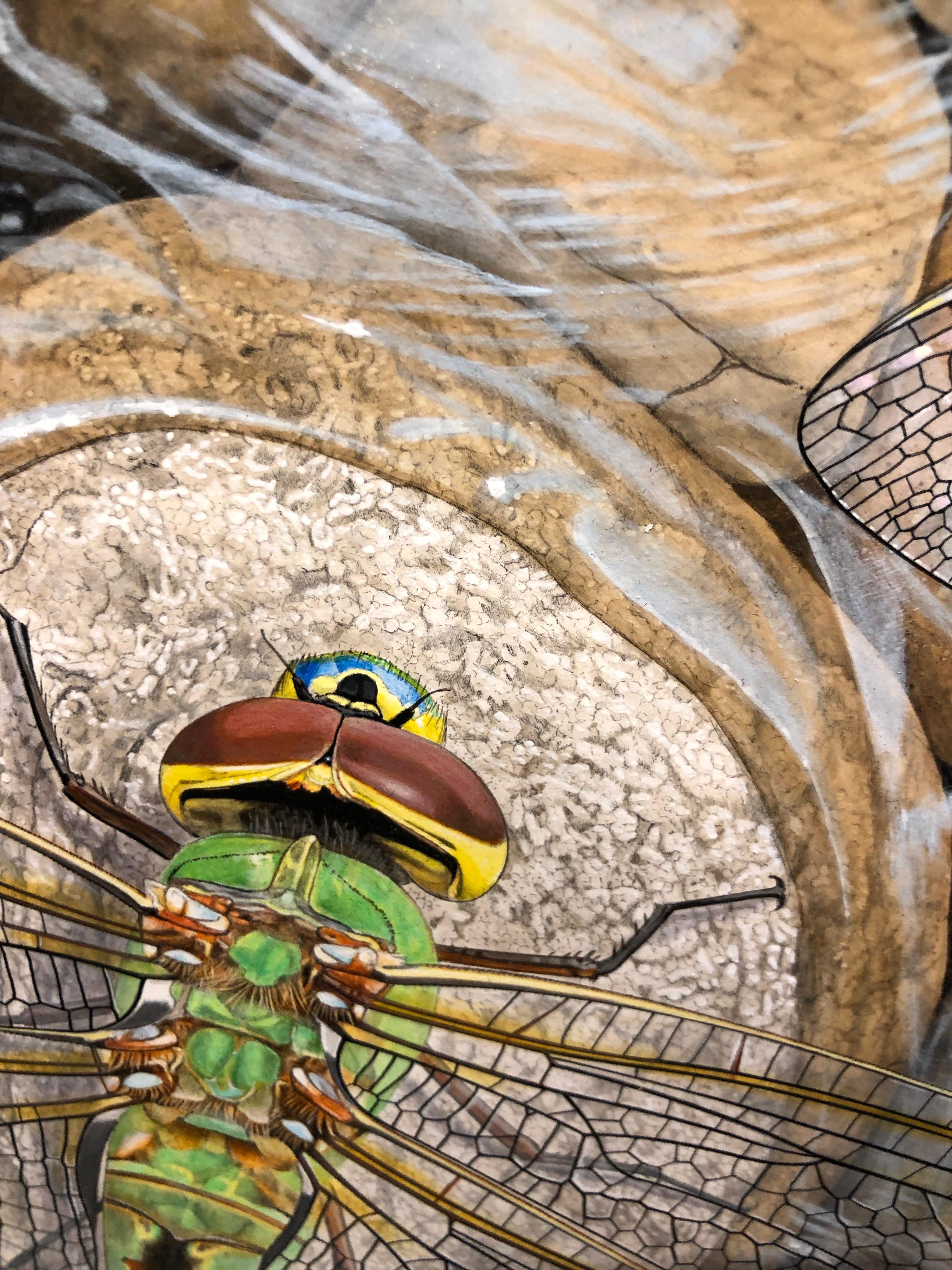 Rocks in the Current – Original fotorealistisches Gemälde von Libellen auf Steinen im Angebot 5