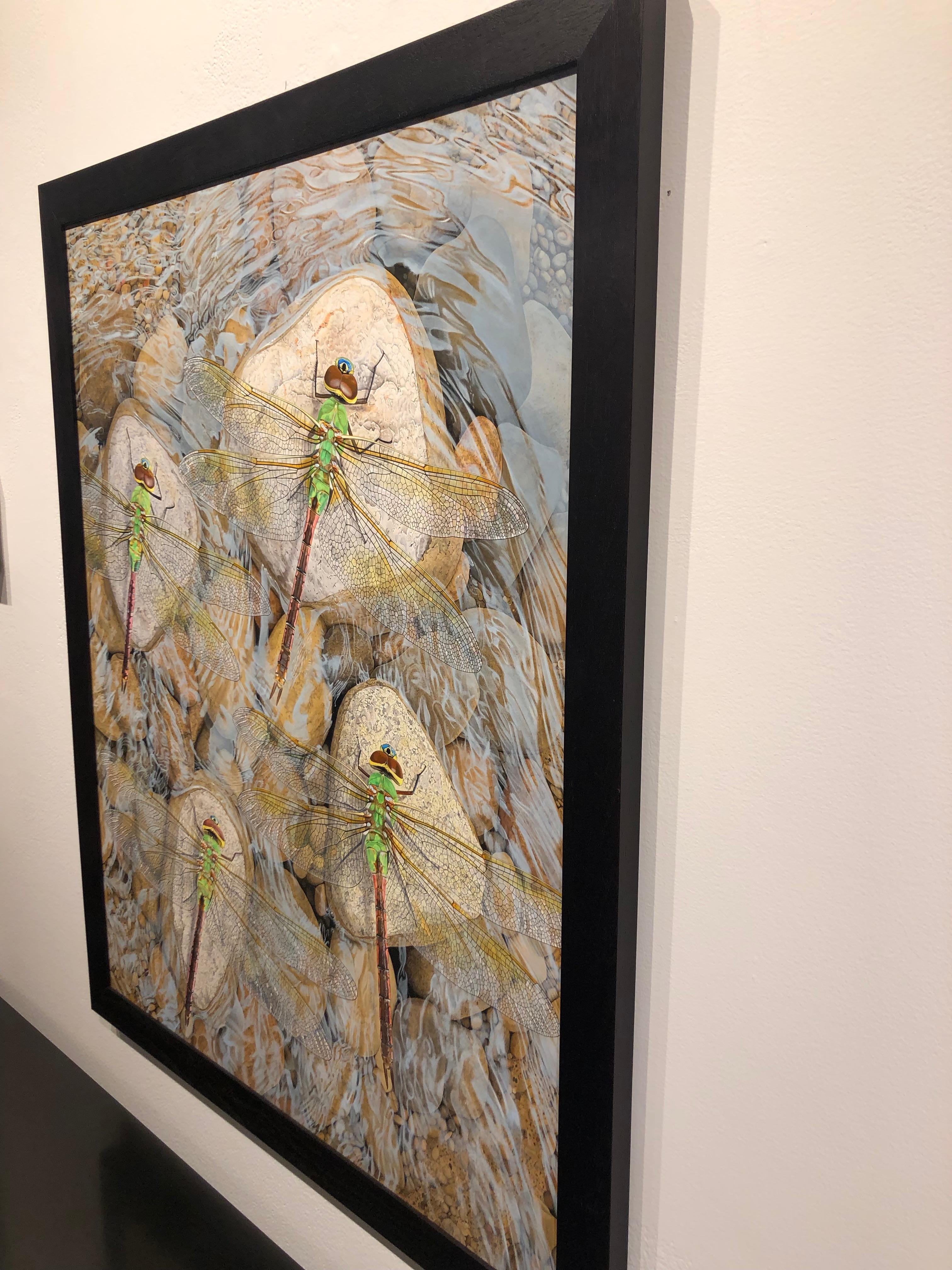 Rocks in the Current – Original fotorealistisches Gemälde von Libellen auf Steinen im Angebot 3