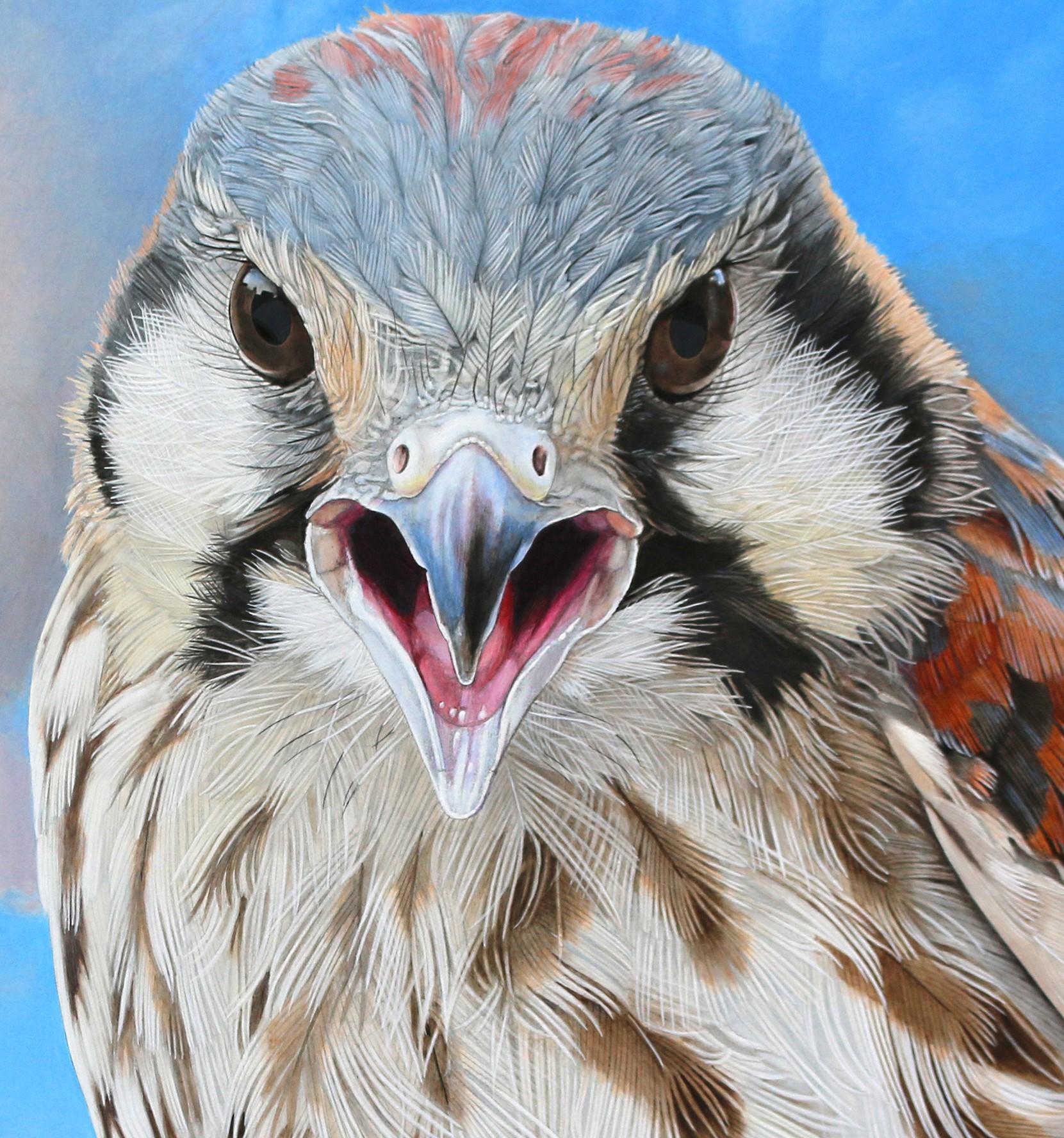 Screaming Young Kestral II - Photorealistic Bird Portrait, Cloud Covered Sky  - Painting by Rick Pas