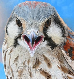 Screaming Young Kestral II - Photorealistic Bird Portrait, Cloud Covered Sky