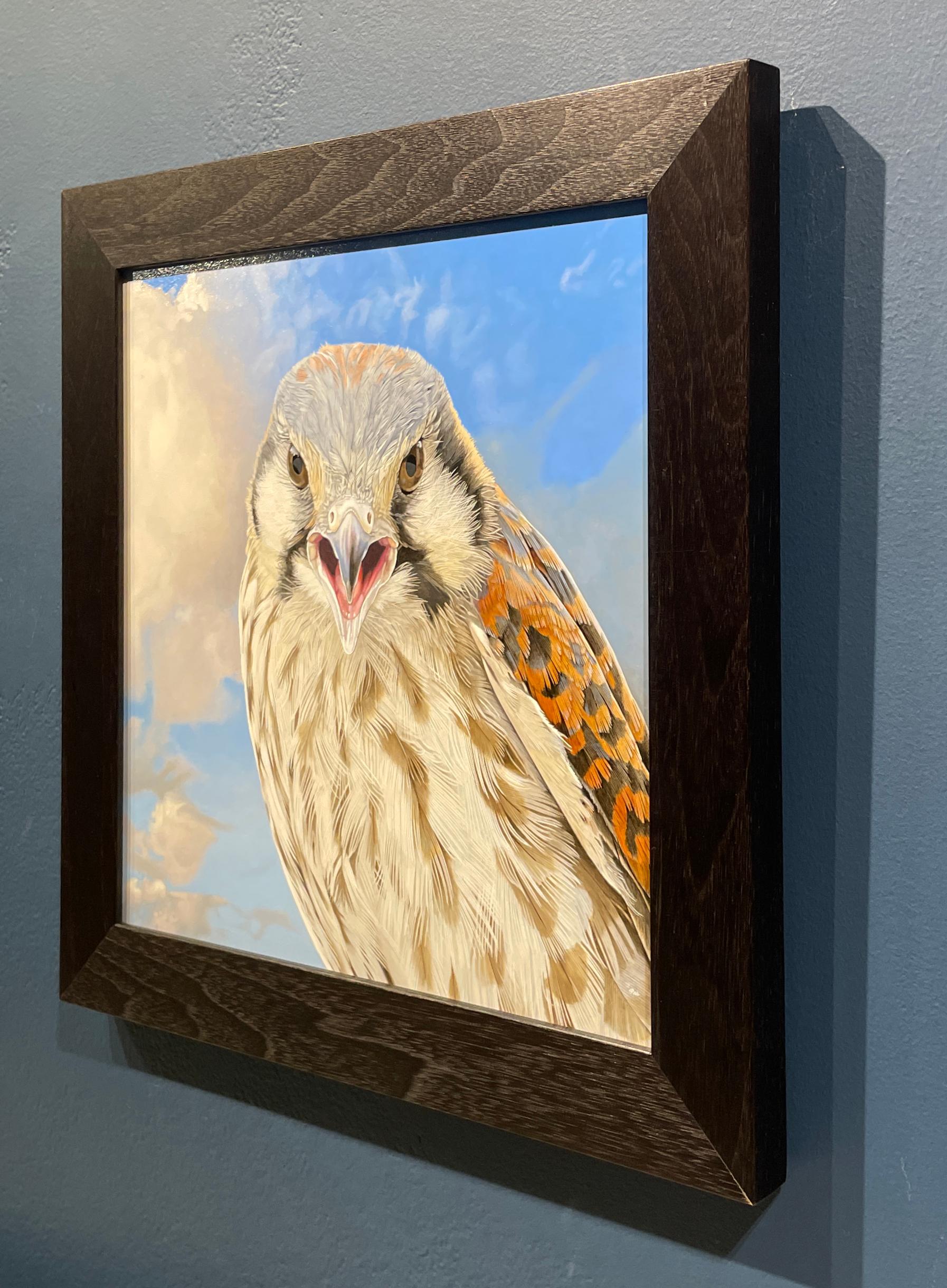 Screaming Young Kestral II - Photorealistic Bird Portrait, Cloud Covered Sky  - Blue Animal Painting by Rick Pas