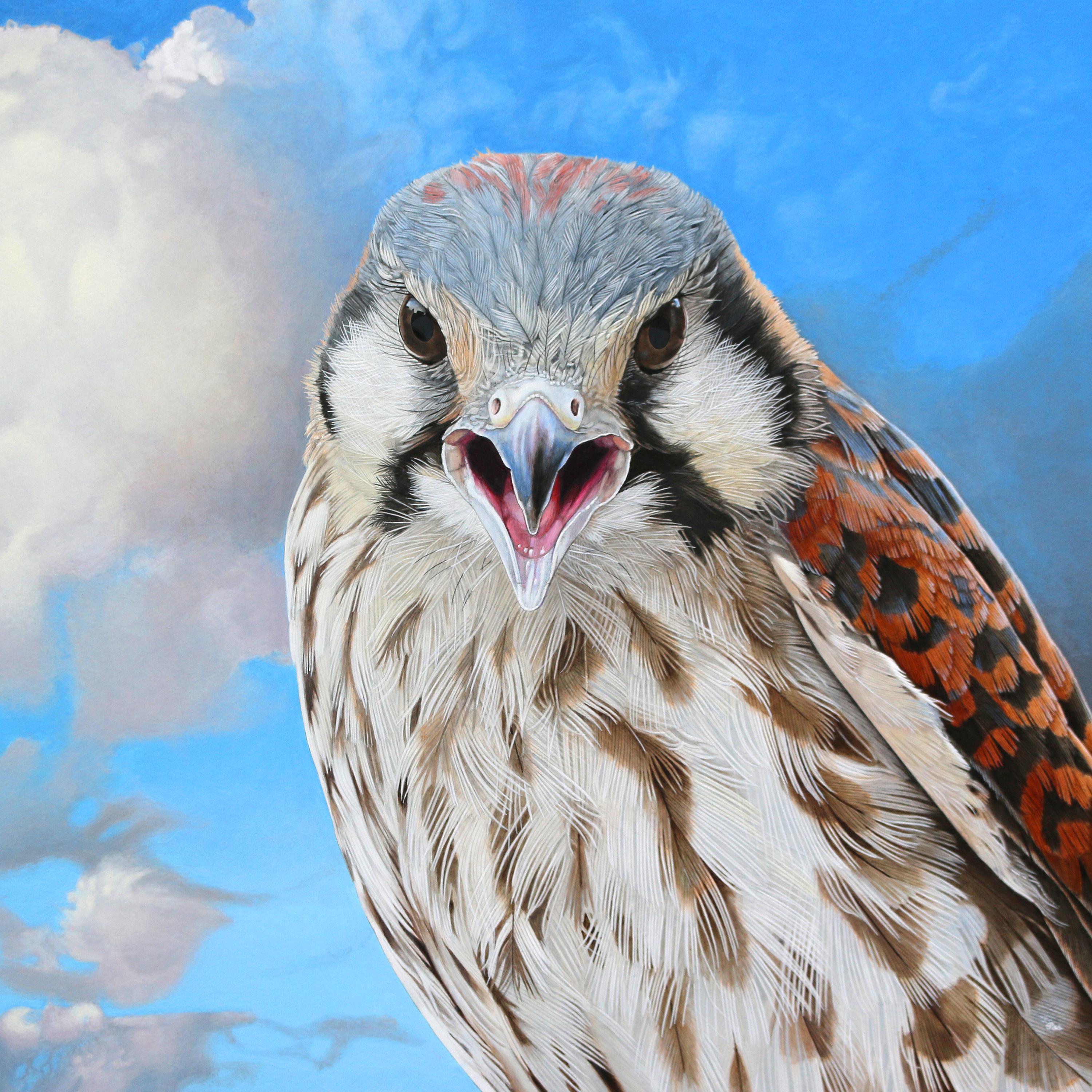 Rick Pas Animal Painting - Screaming Young Kestral II - Photorealistic Bird Portrait, Cloud Covered Sky 