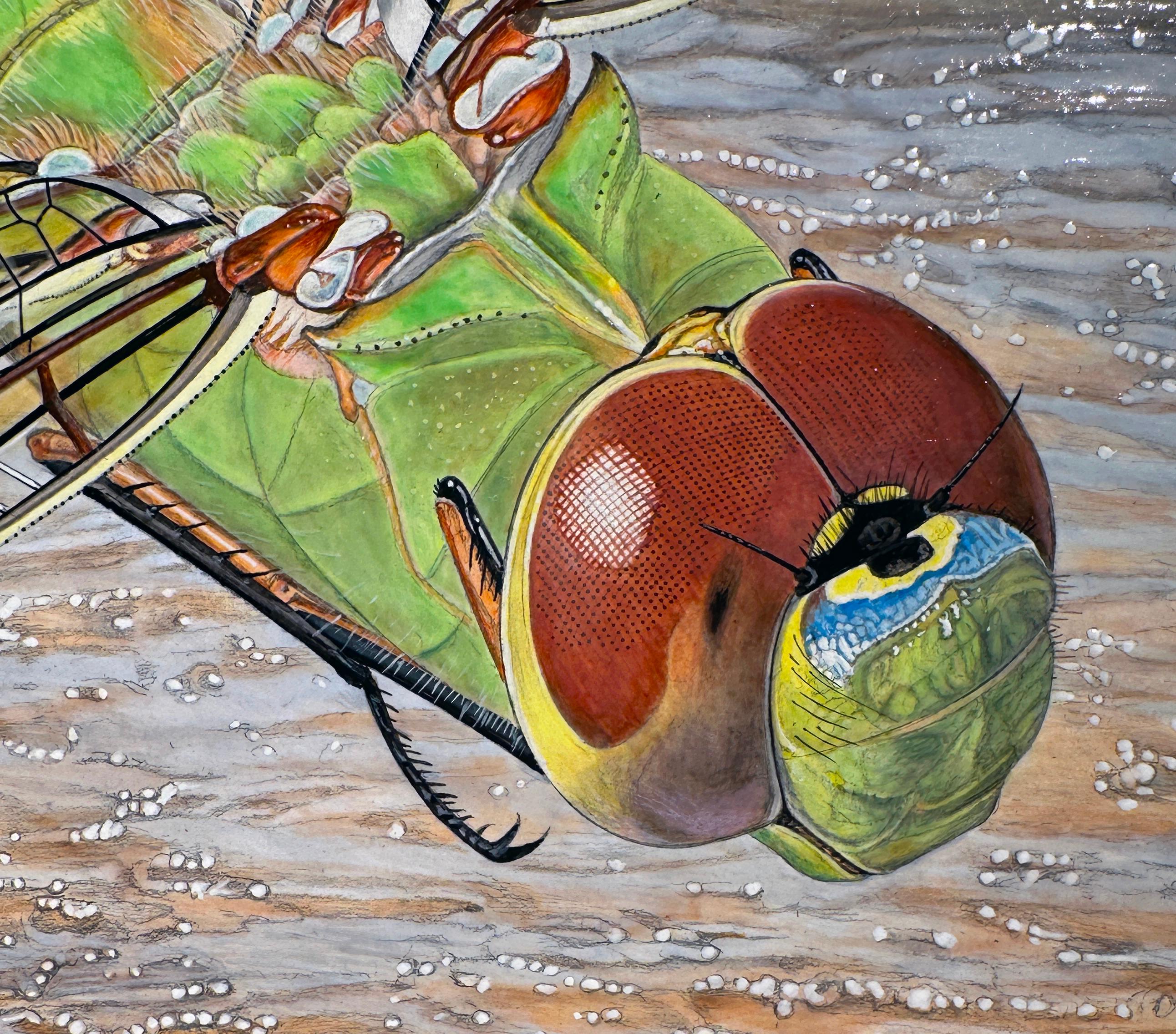 Shore Patrol - Fotorealistisches Gemälde einer Libelle, die über eine Küste schwebt (Fotorealismus), Painting, von Rick Pas