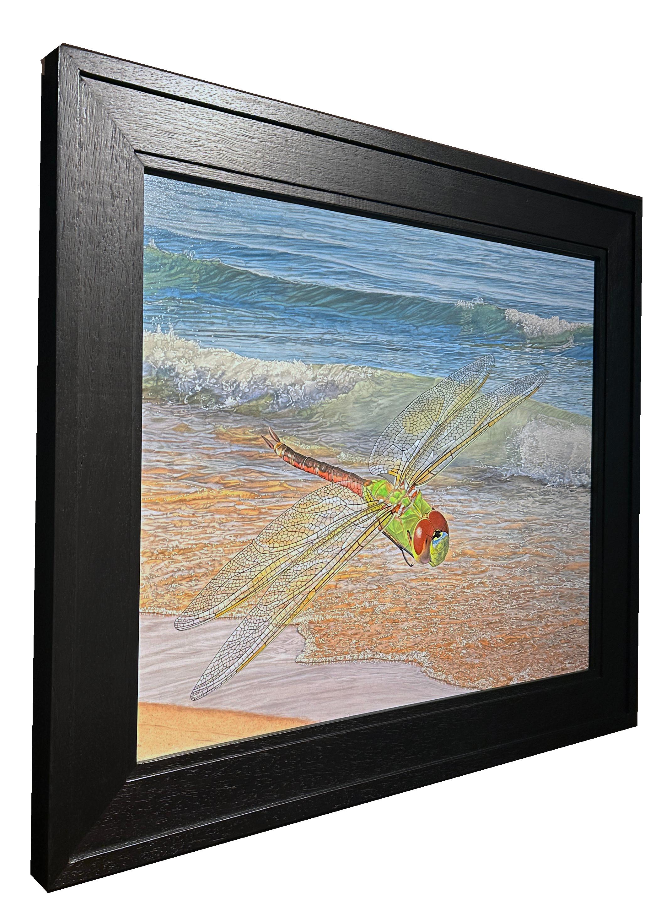 Shore Patrol - Fotorealistisches Gemälde einer Libelle, die über eine Küste schwebt im Angebot 3