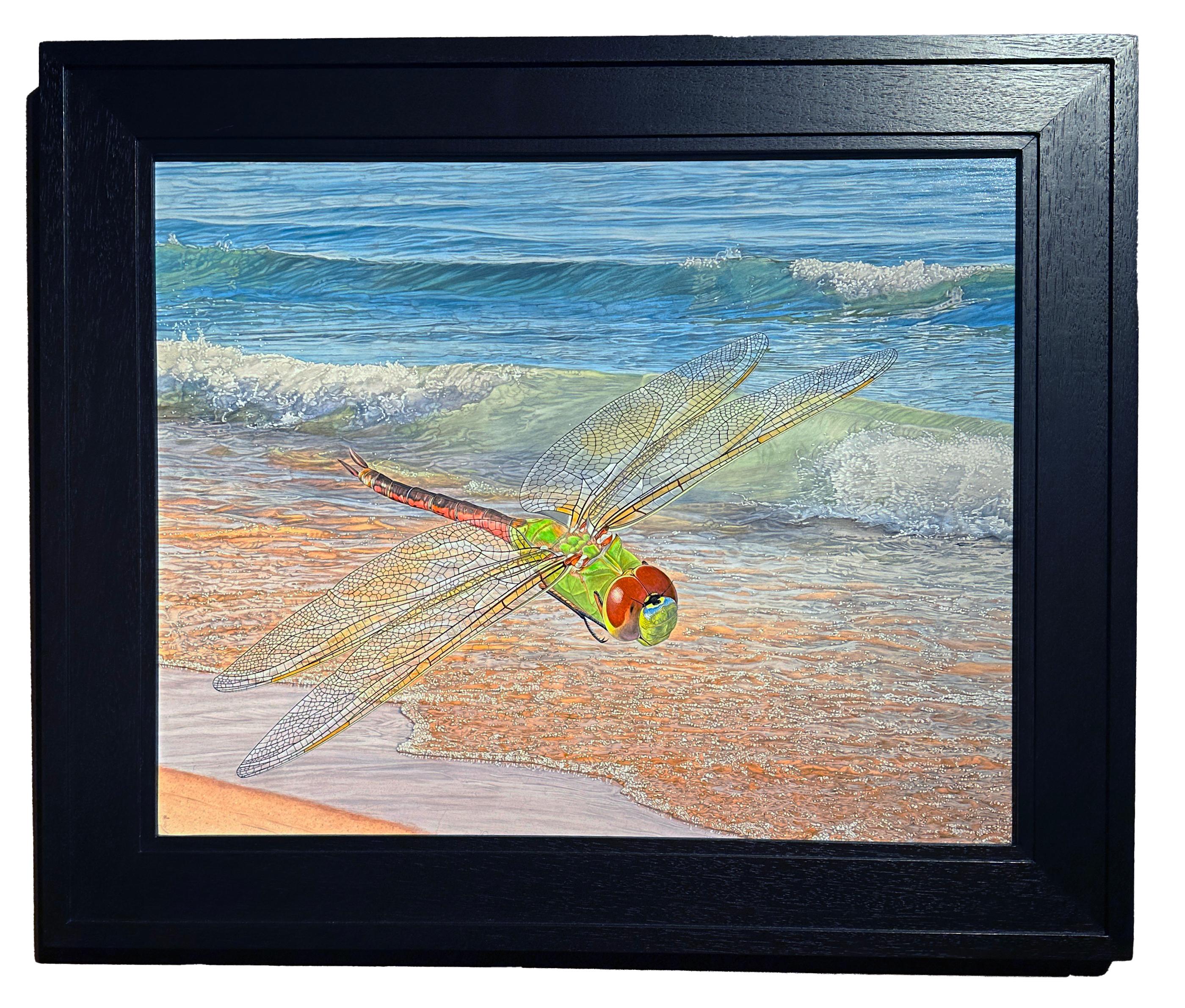 Shore Patrol - Fotorealistisches Gemälde einer Libelle, die über eine Küste schwebt im Angebot 4