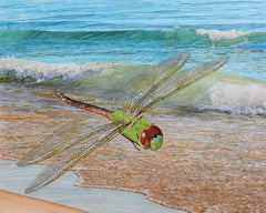 Rick Pas - Shore Patrol - Photorealistic Painting of a Dragonfly Hovering Over a Shoreline Shore Patrol - Photorealistic Painting of a Dragonfly Hovering Over a Shoreline