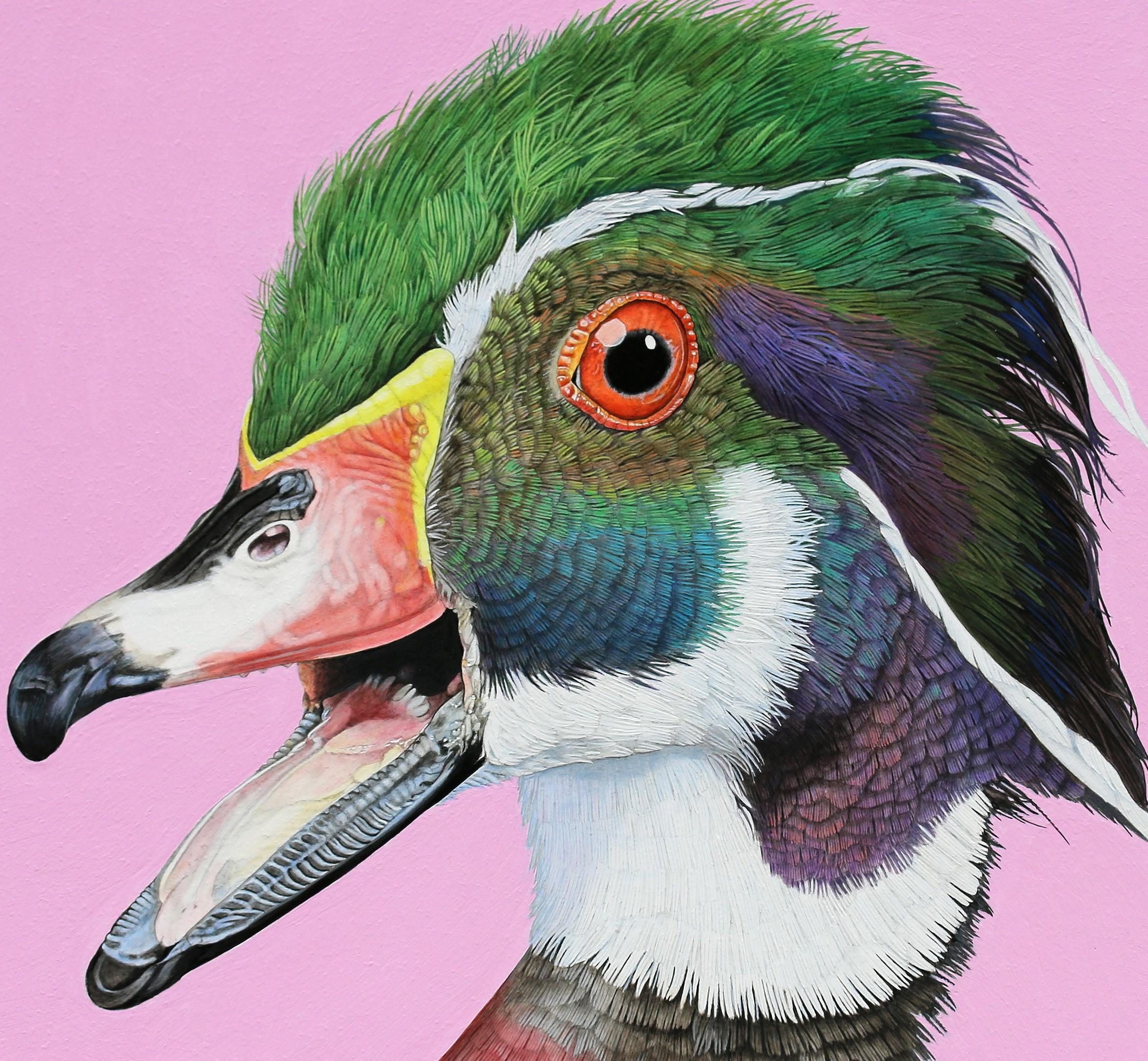 The Comic Wood Duck - Ritratto fotorealistico di un'anatra su sfondo rosa, con cornice - Painting Fotorealista di Rick Pas