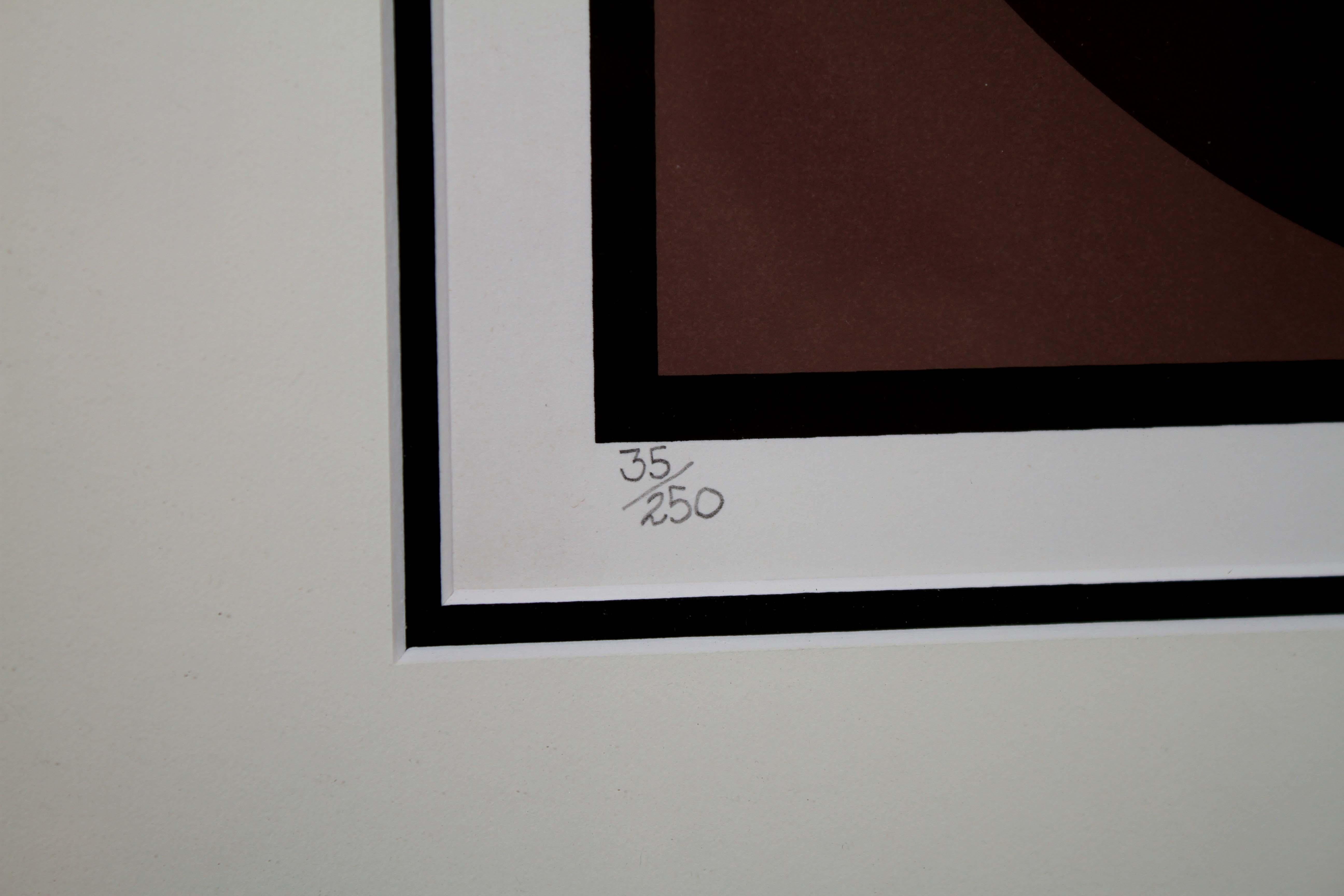 Rick Tunkel Postmodern Op Art Abstract Geometric 3D Serigraph 35/250 Framed 1981 For Sale 5