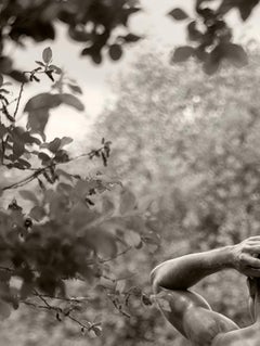 Body Two. Nude. Sepia Limited Edition Photograph