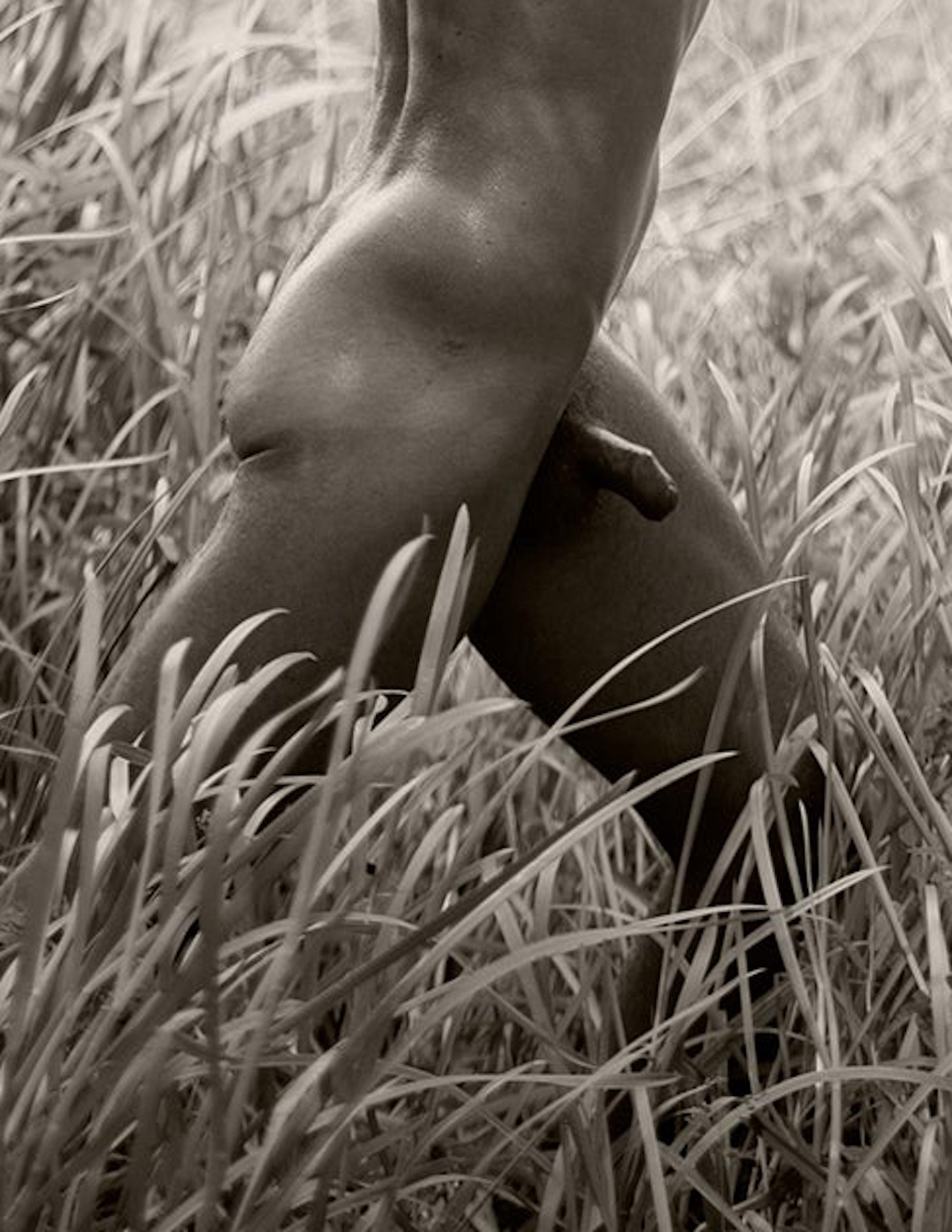 cuerpo desnuda