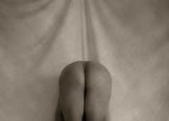 Untitled. Male Nude. Sepia Limited Edition Photograph