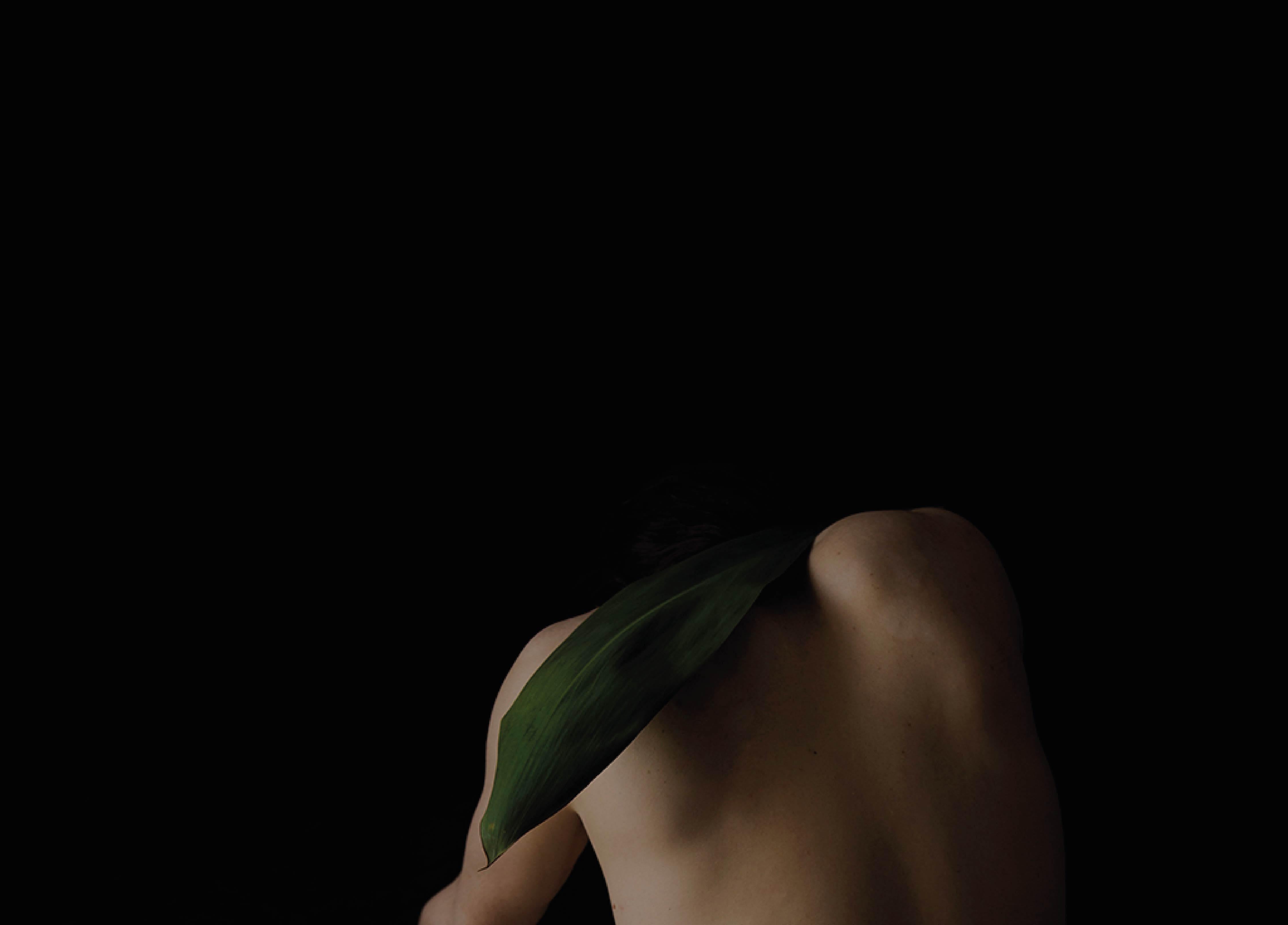 Espina. Provenant de la série Viva. Photographie de nu masculin en couleur en vente 1