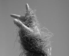 Fibras de mar. Archival pigment print