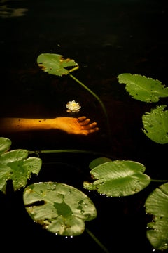 Fruit. From the series Water Lilies