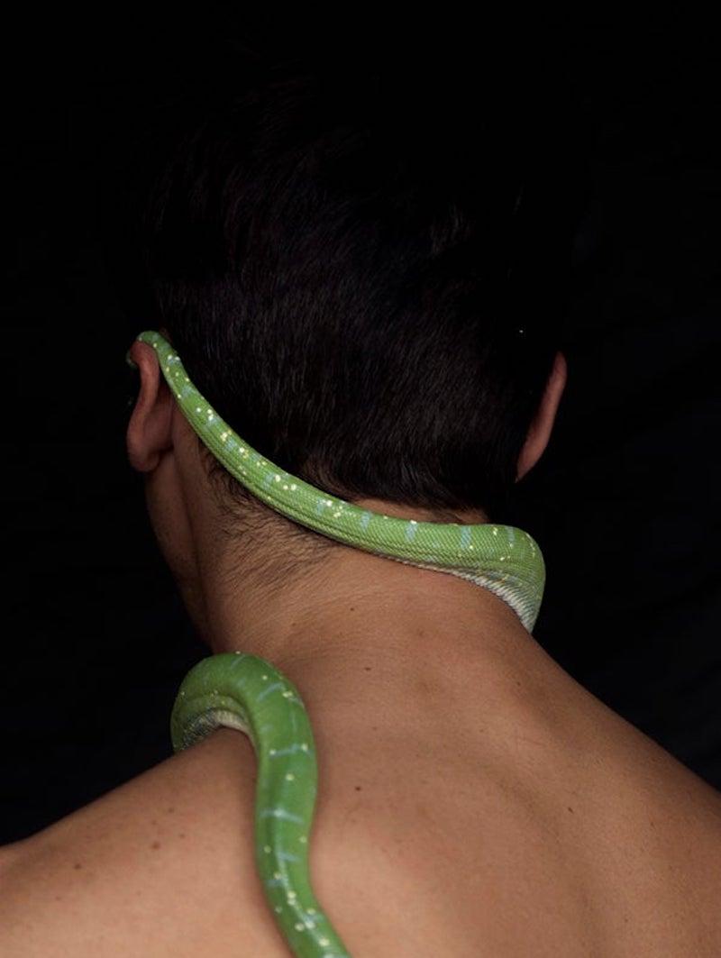 Man and Serpent, Three. Limited Edition Color Photograph For Sale 1