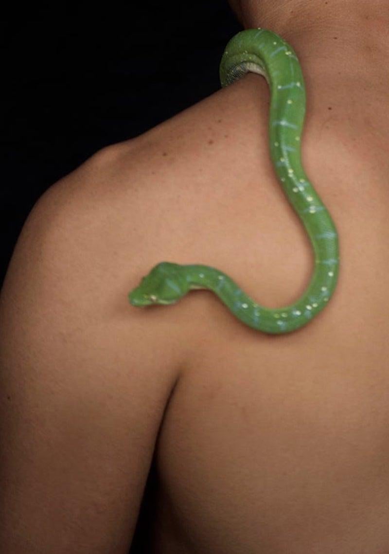 Man and Serpent, Three. Limited Edition Color Photograph For Sale 2