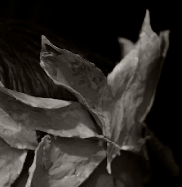 L'homme à la couronne, un. Portrait en noir et blanc. Photographie à tirage limité en vente 2
