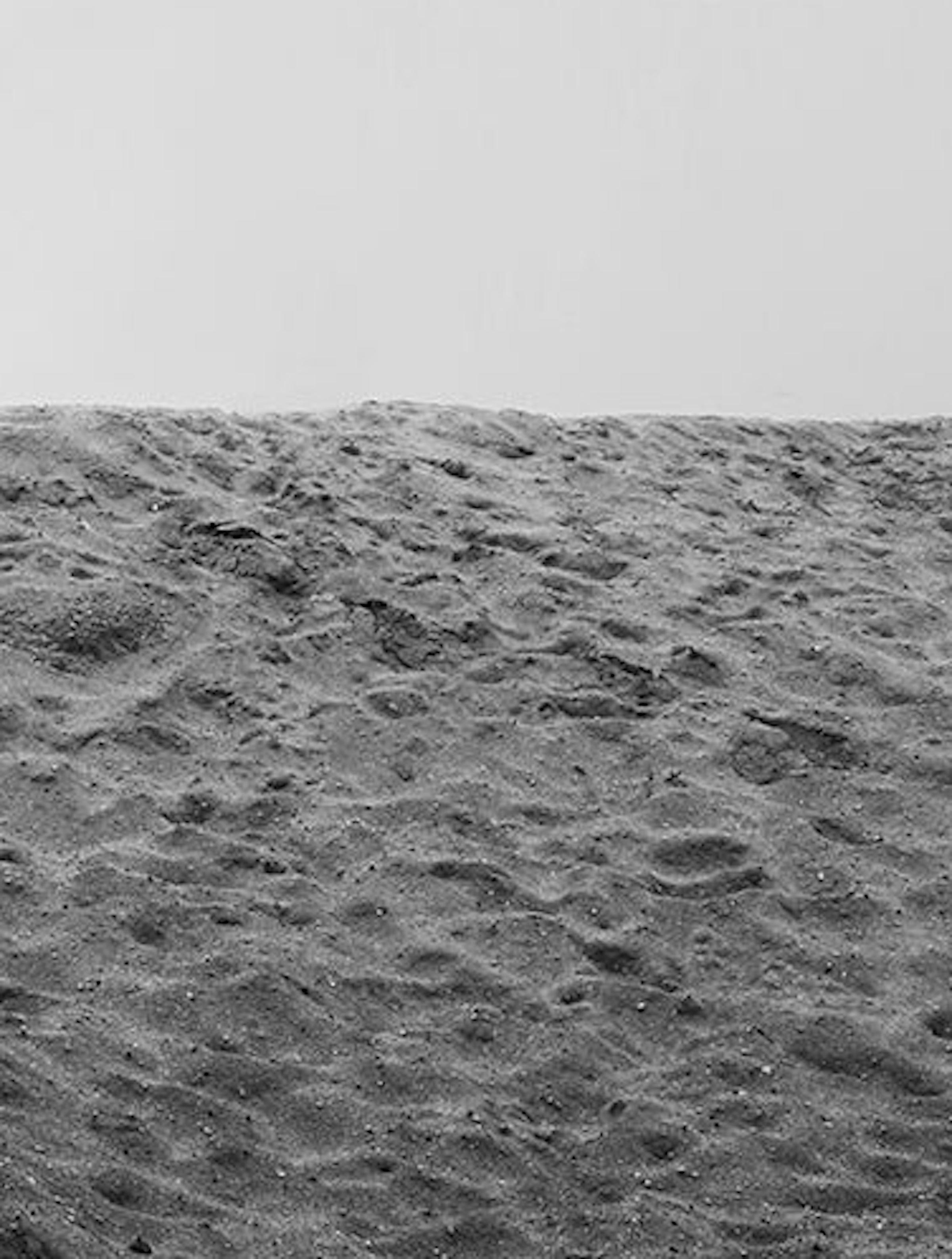 Herren und Palme, Baum. Limitierte Auflage einer Schwarz-Weiß-Fotografie (Zeitgenössisch), Photograph, von Ricky Cohete