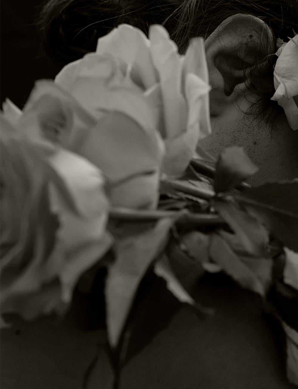 la rosa blanca poem