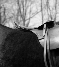 Montura. From The series Horse and Dancer. B&W Photograph
