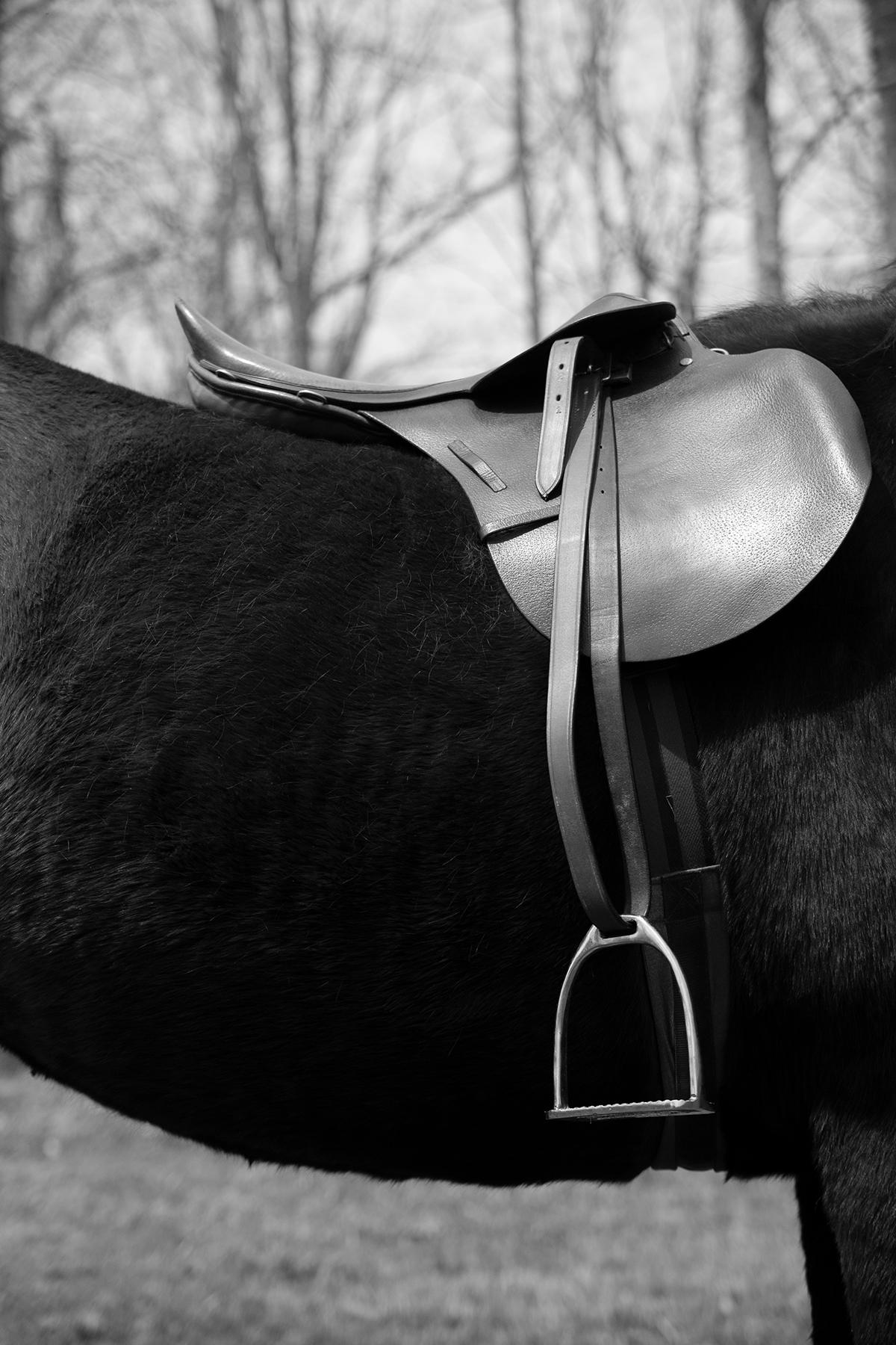 Ricky Cohete Black and White Photograph - Montura. From The series Horse and Dancer. Male Nude Black & White photograph