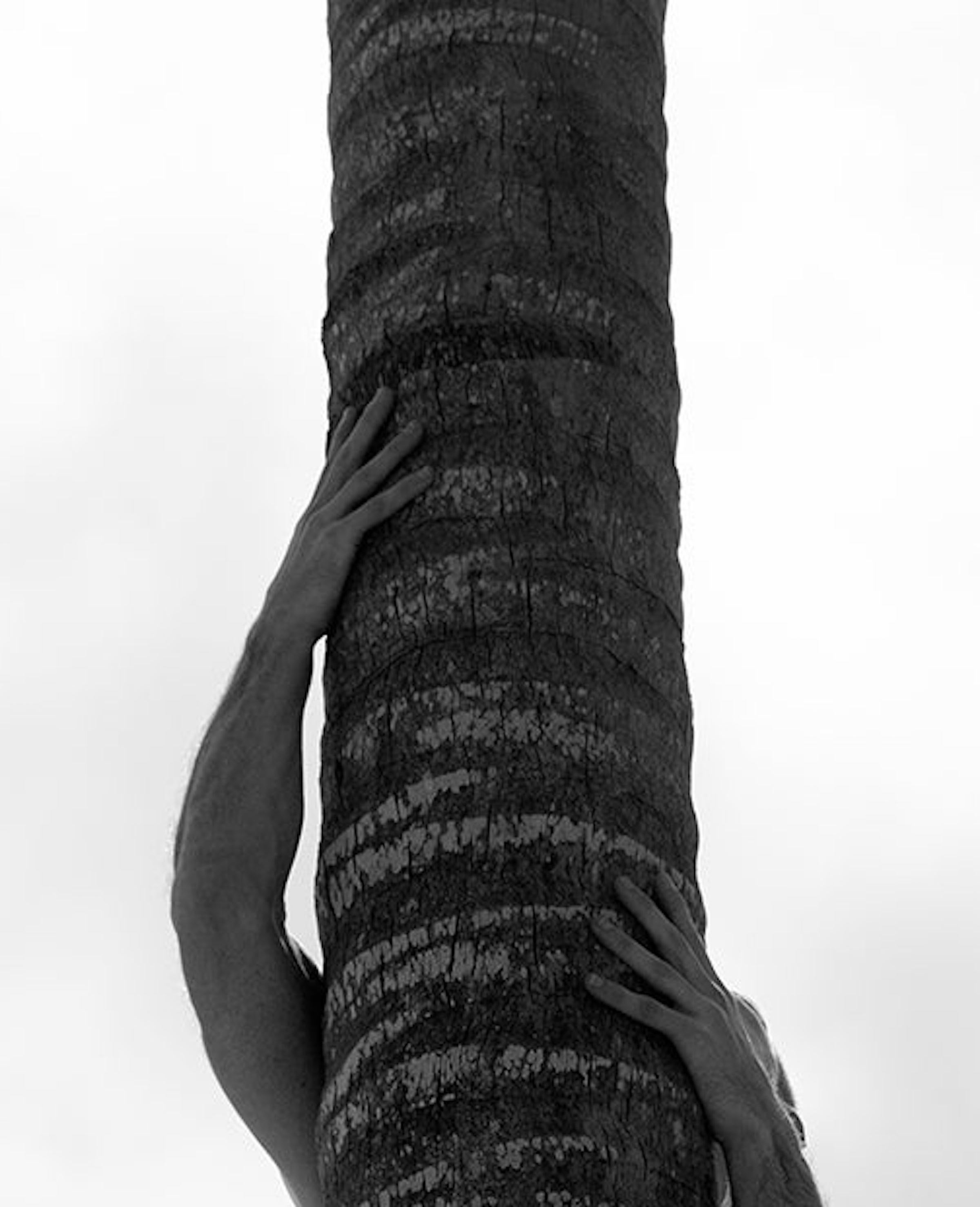Palm Climb, One.  Limited Edition Black and White  Photograph - Gray Black and White Photograph by Ricky Cohete