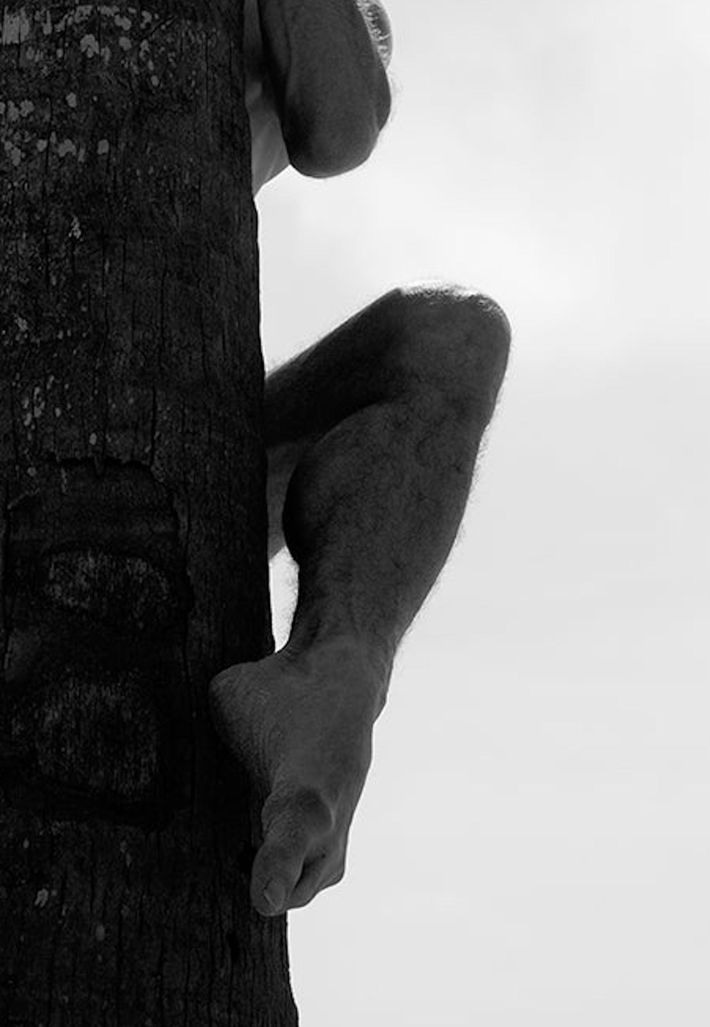 Palm Climb, One.  Limited Edition Black and White  Photograph For Sale 1