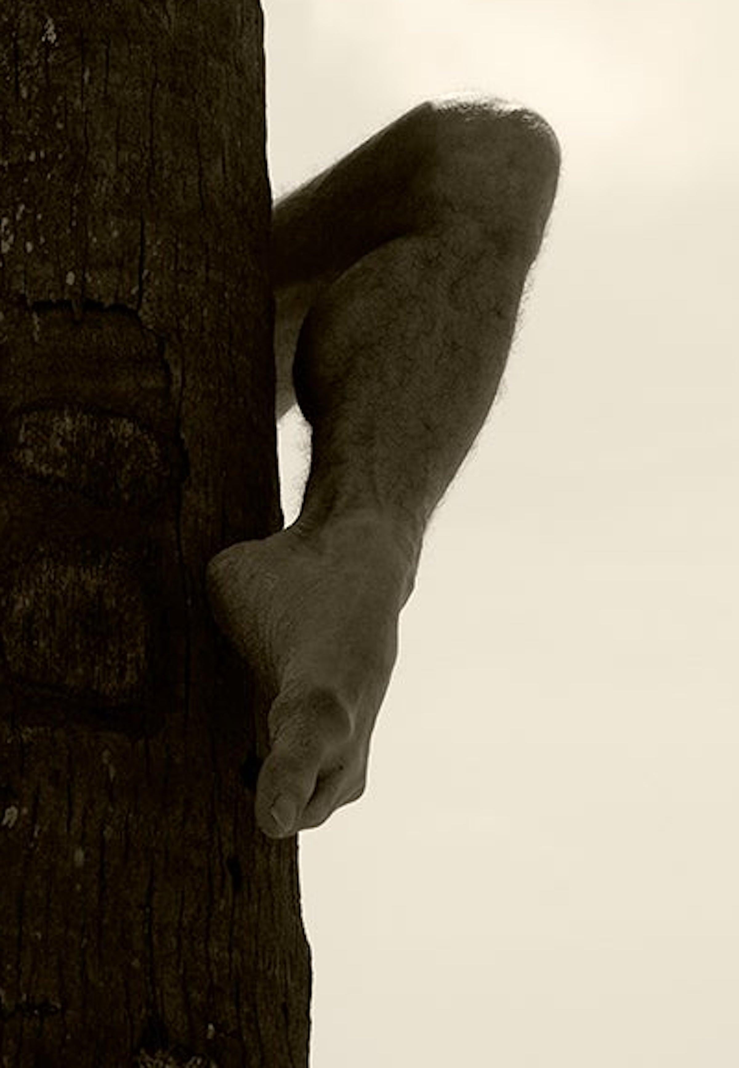 Palm Climb,  One. Sepia. Limited Edition Photograph - White Black and White Photograph by Ricky Cohete
