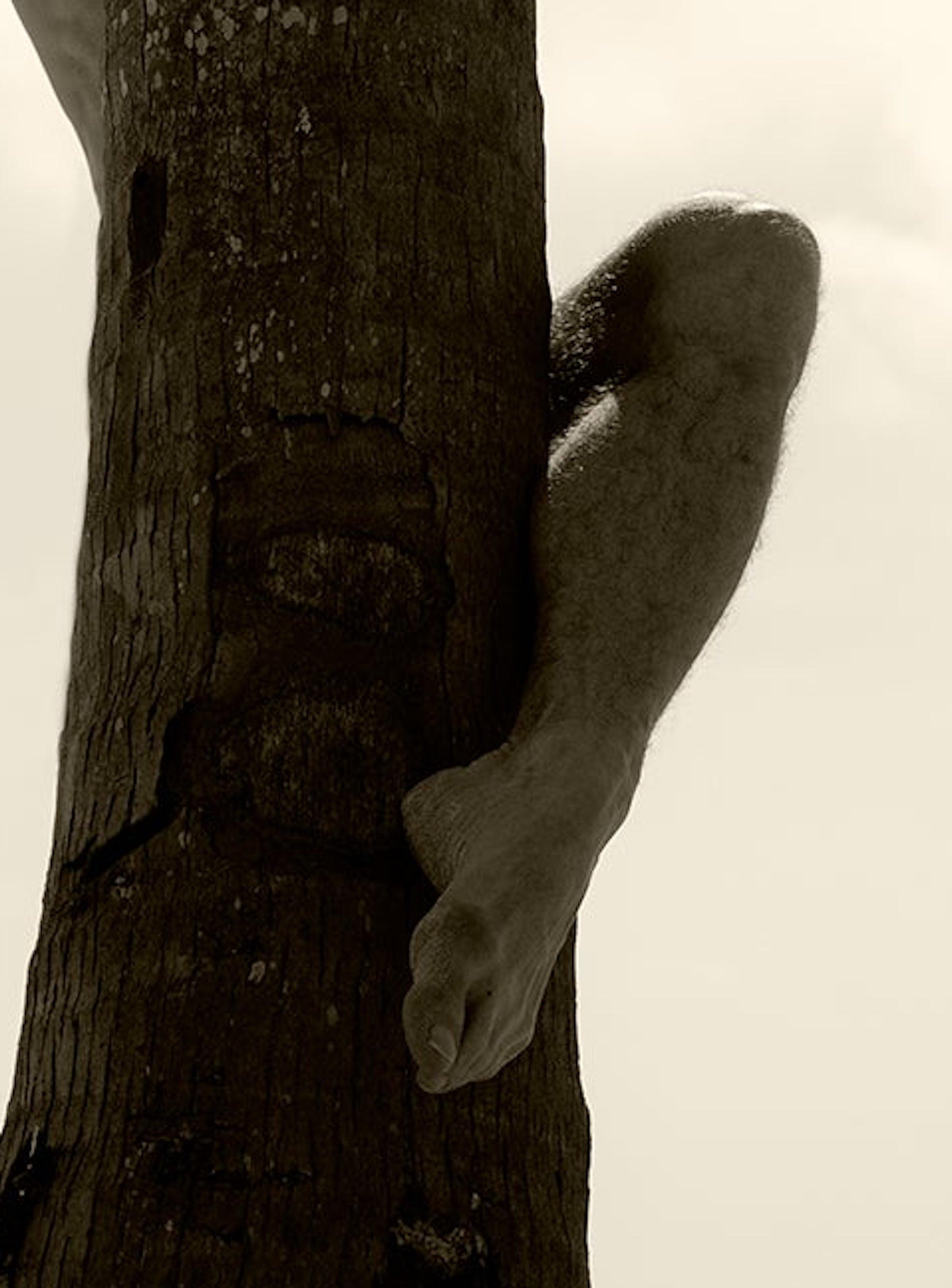 Palm Climb, 2. Sepia. Limitierte Auflage einer Photographie (Beige), Nude Photograph, von Ricky Cohete