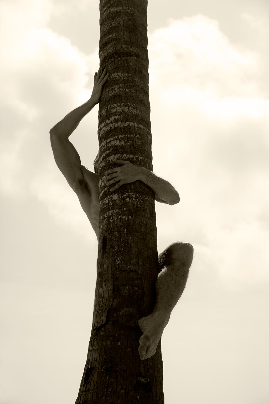 Ricky Cohete Nude Photograph – Palm Climb, 2. Sepia. Limitierte Auflage einer Photographie
