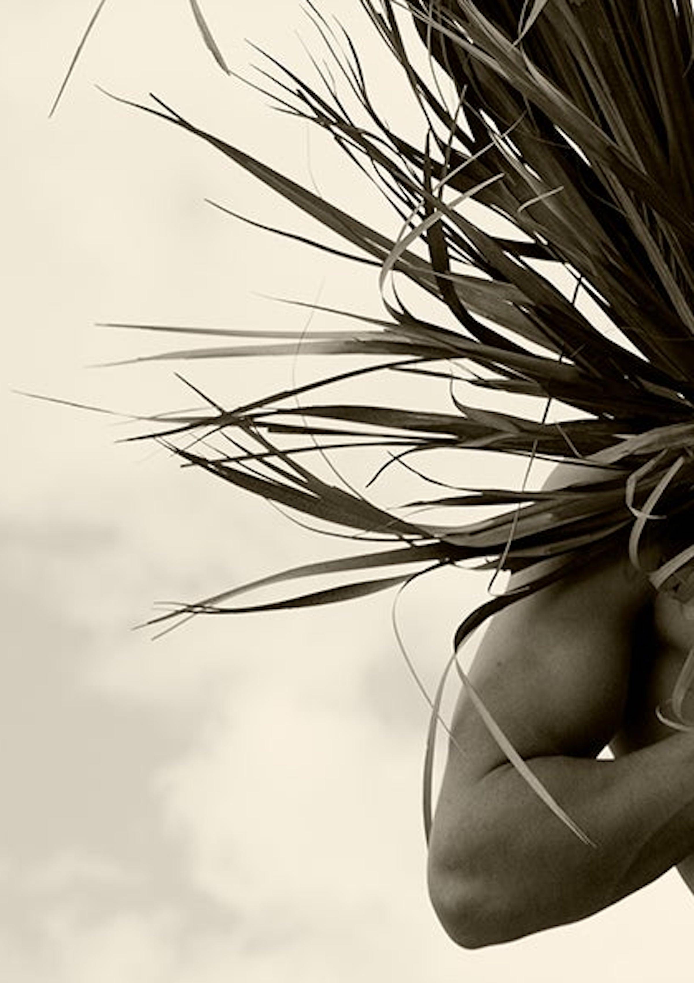 Palm Four, Fotografía sepia de edición limitada - Photograph de Ricky Cohete