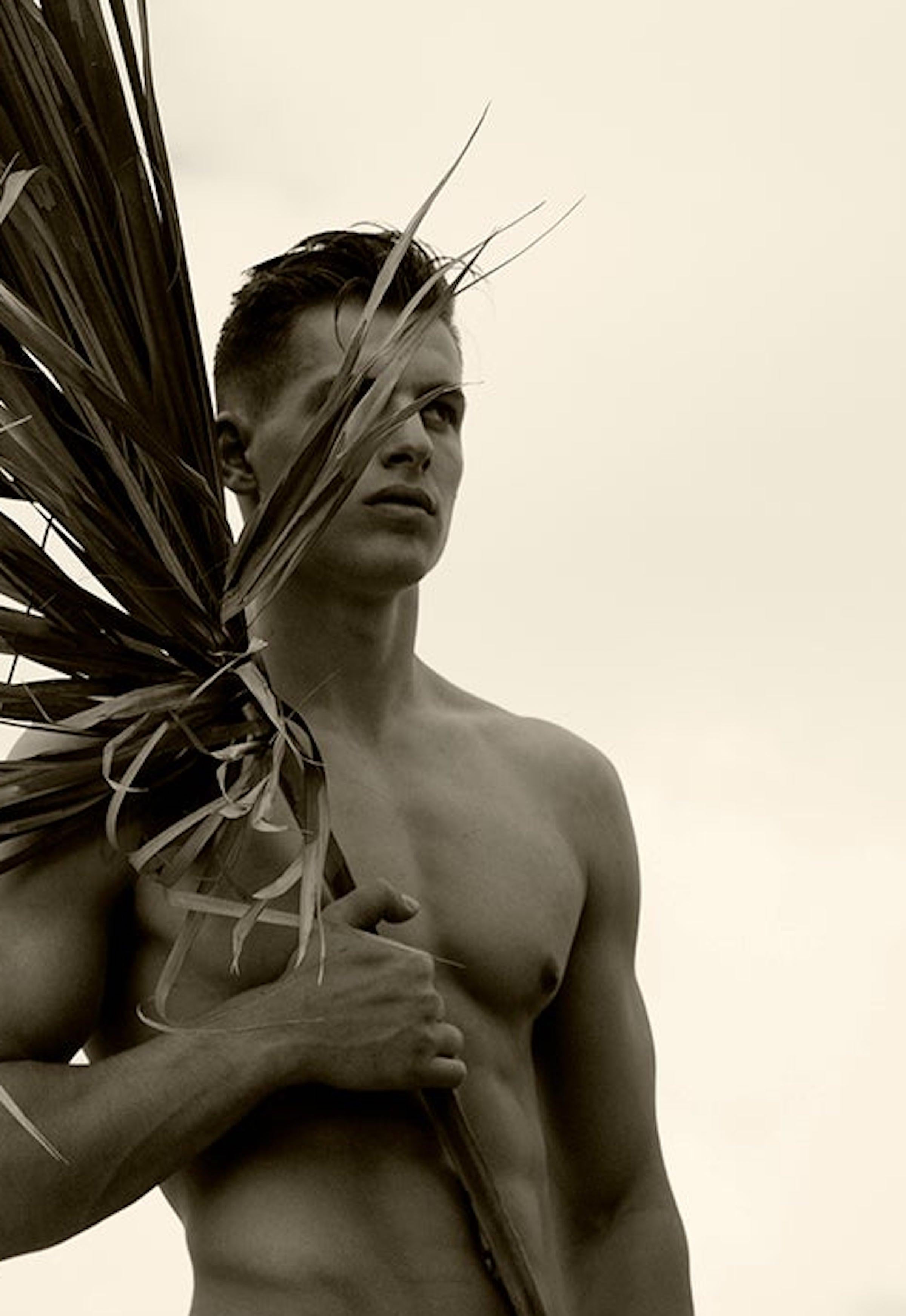 Palm Four, Fotografía sepia de edición limitada - Photograph Contemporáneo de Ricky Cohete