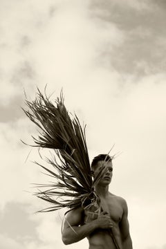 Palm Four, Sepia Limited Edition Photograph
