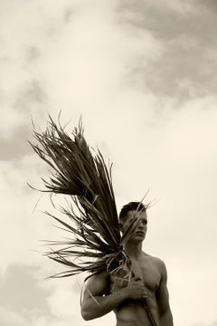 Palm Four, Sepia. Limitierte Auflage einer Photographie