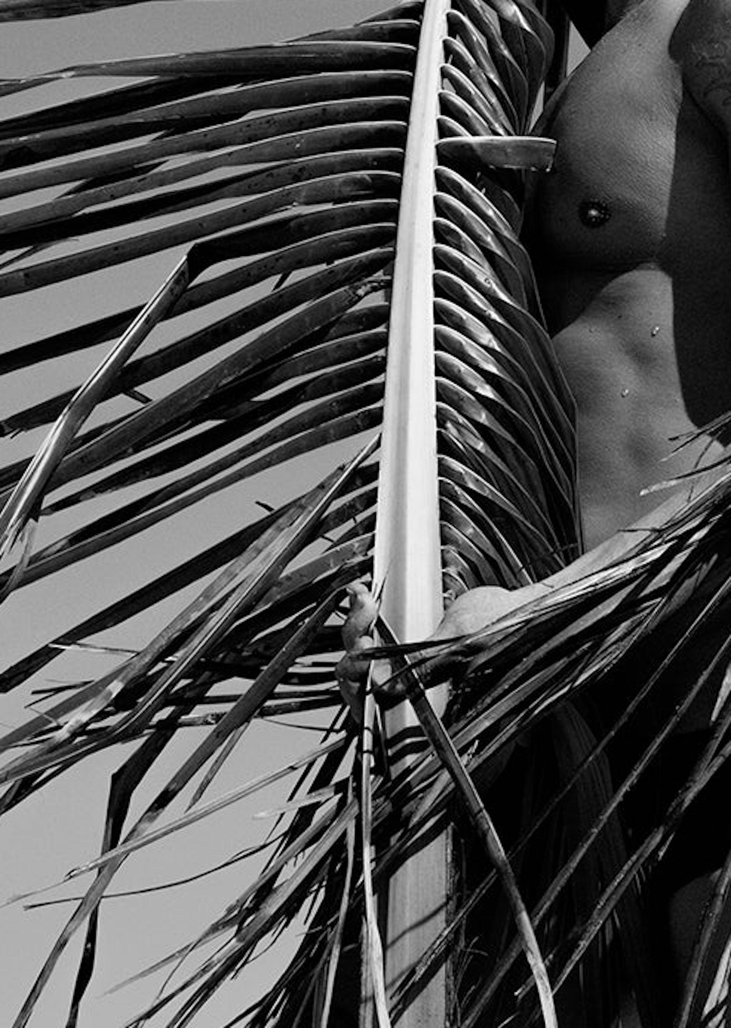 Black and White  Archival Pigment print
Medium Ed of 10.

Palm & Trees: For this series, the artist explores short poems, the expansion of the palms, textures, and ease of the male figure surrounded by the sea and skies. He added that he is always