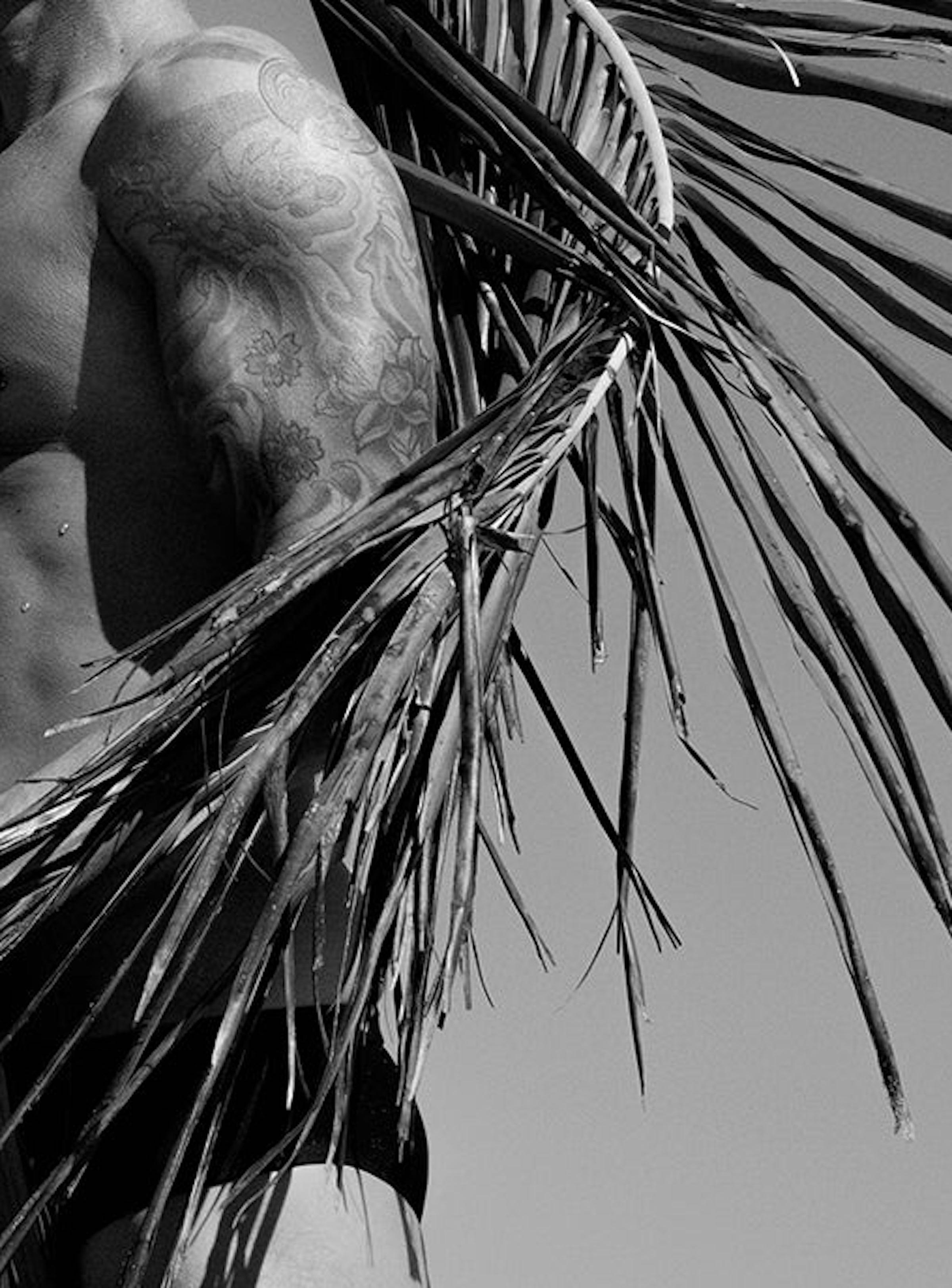 Palm One.  Limitierte Auflage von Schwarz-Weiß-Schwarz  Fotografieren Sie (Grau), Black and White Photograph, von Ricky Cohete