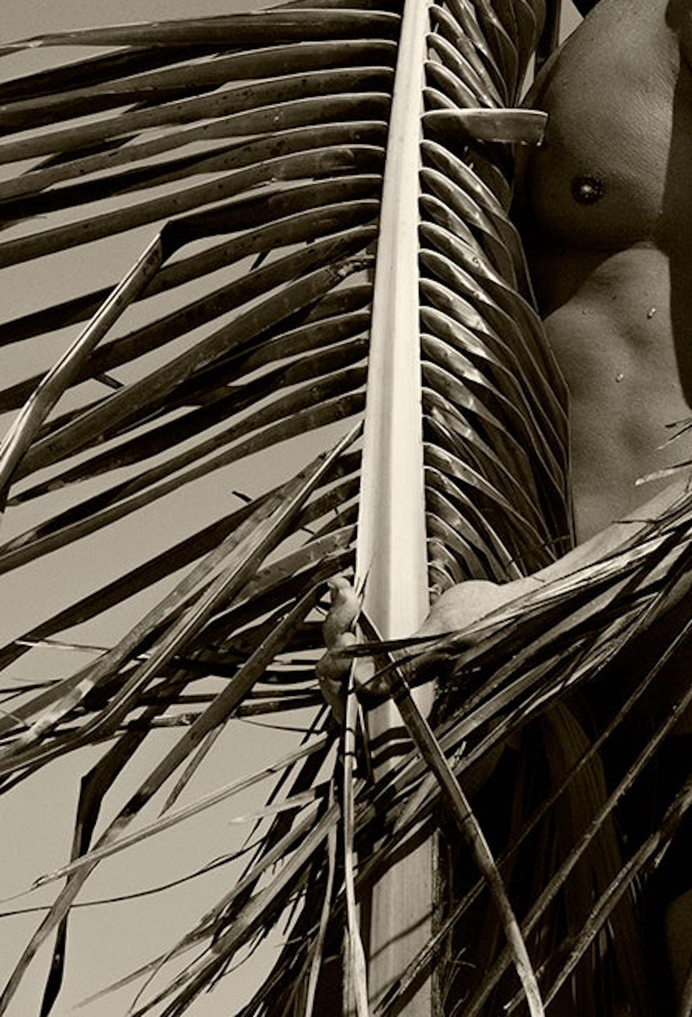 Palm, One. Sépia. Nus. Photographie à tirage limité - Gris Black and White Photograph par Ricky Cohete