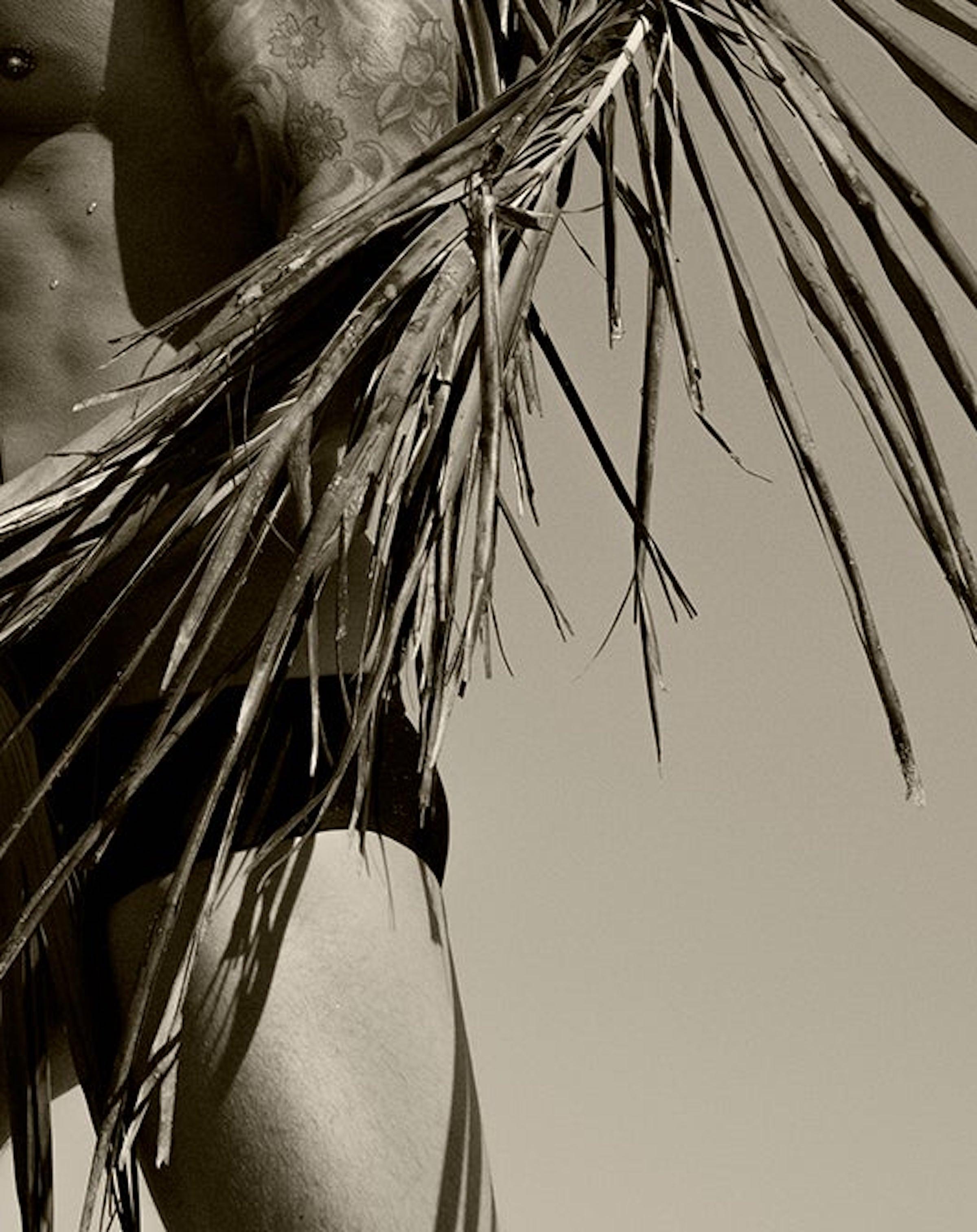 Palm, One. Sepia. Nude. Limited Edition Photograph - Gray Black and White Photograph by Ricky Cohete