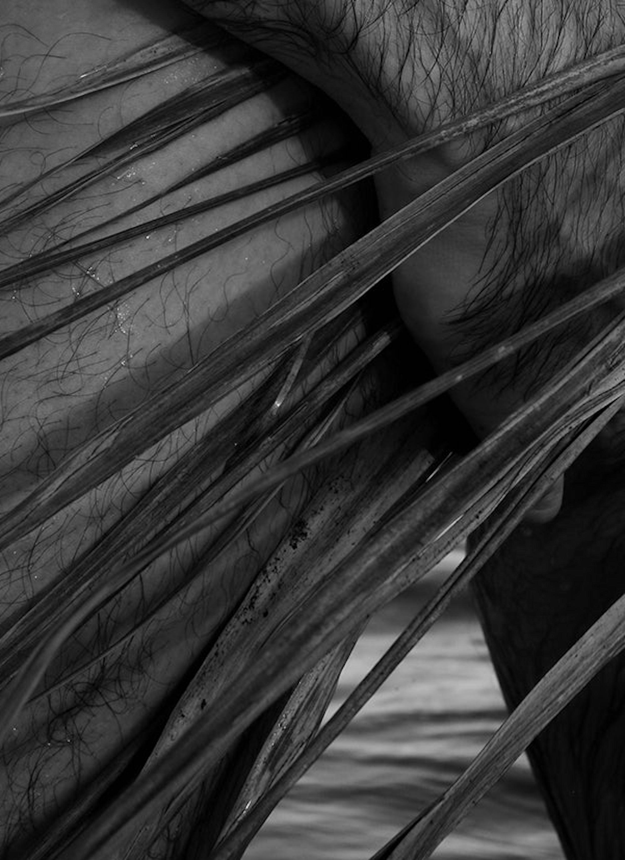 Handfläche, 2. Nackt.  Limitierte Auflage von Schwarz-Weiß-Schwarz  Fotografieren Sie – Photograph von Ricky Cohete