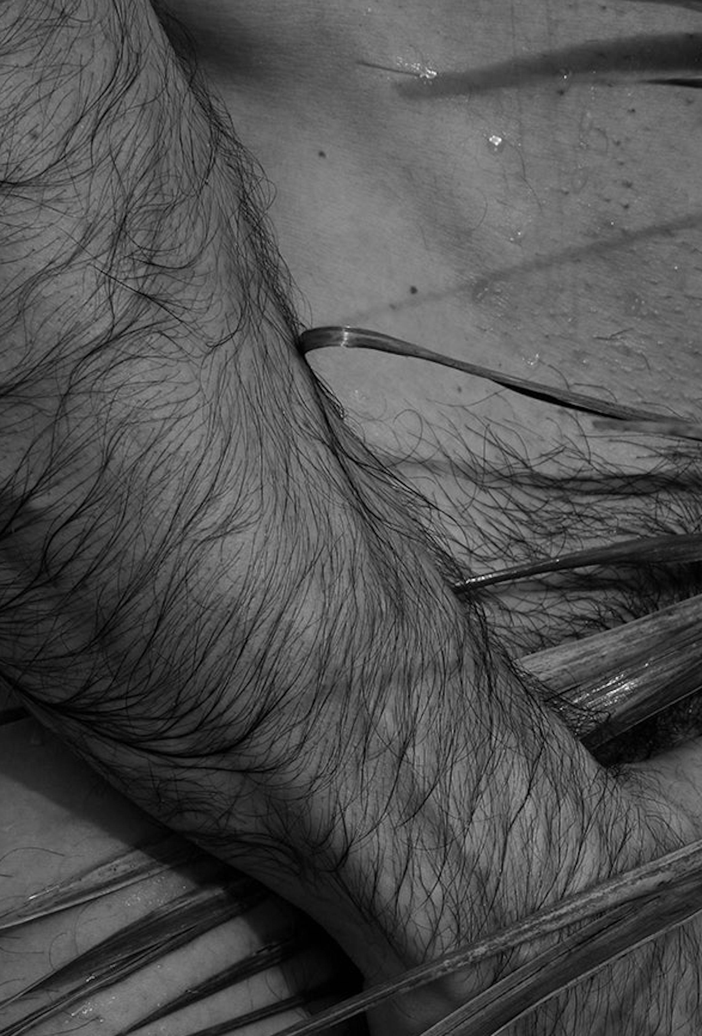 Palm, Two. Nude.  Limited Edition Black and White  Photograph For Sale 2