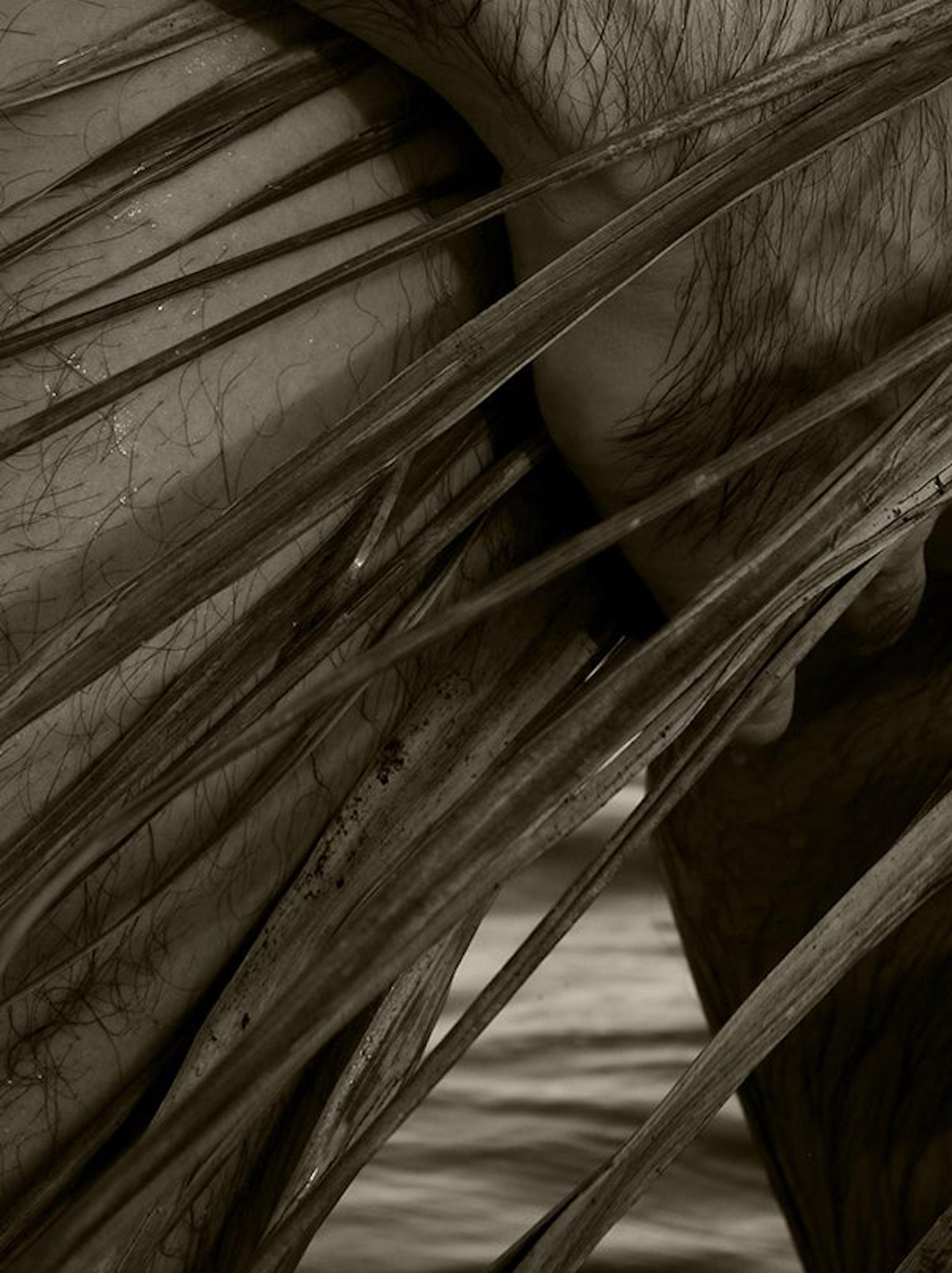 Palm, Two. Sépia. Nus. Photographie à tirage limité - Noir Black and White Photograph par Ricky Cohete