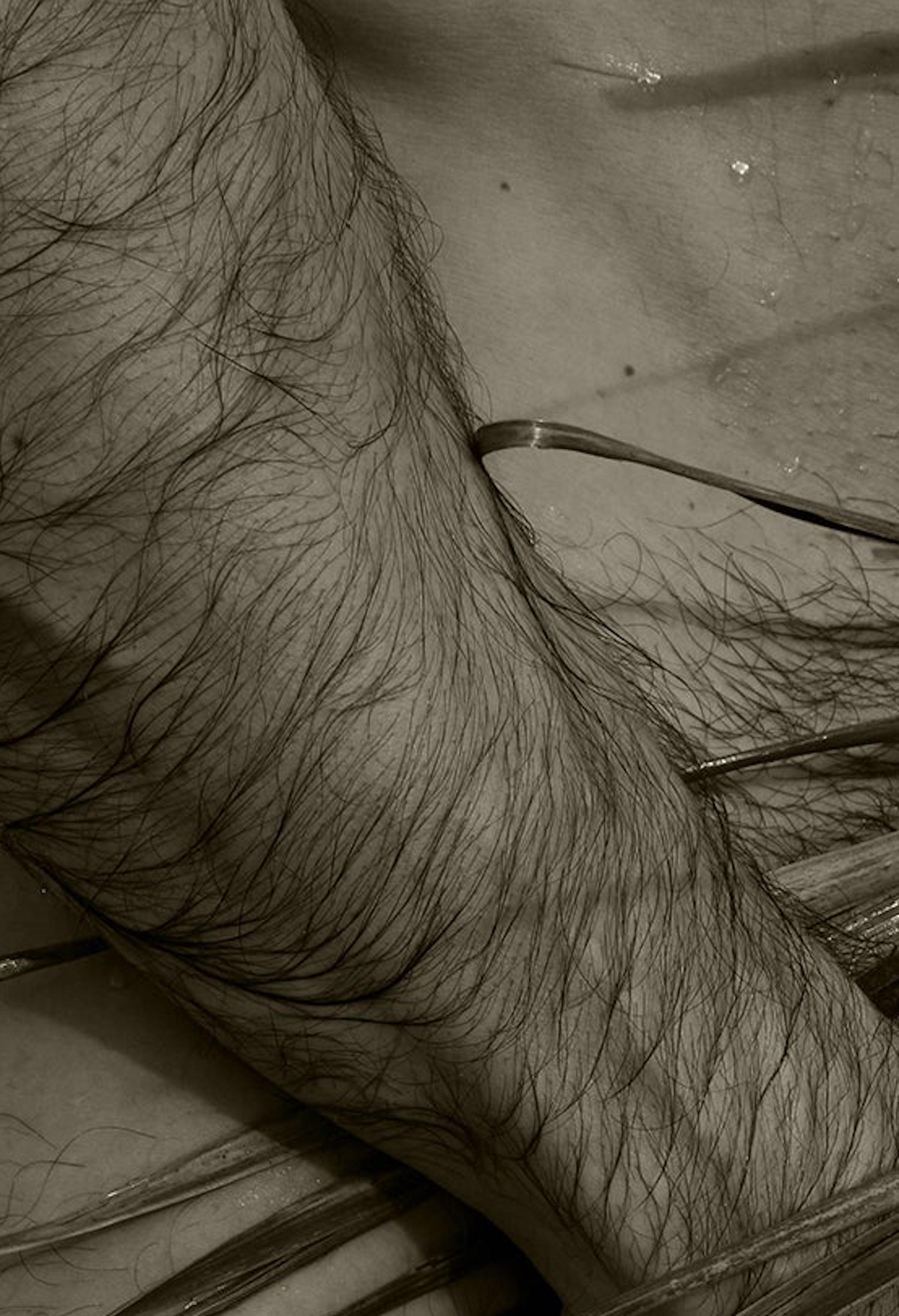Palm, Two. Sepia. Nude. Limited Edition Photograph For Sale 1