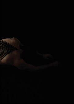 Palma en la noche. From the Viva series. Male Nude Color Photograph