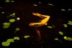Pond. From the series Water Lilies