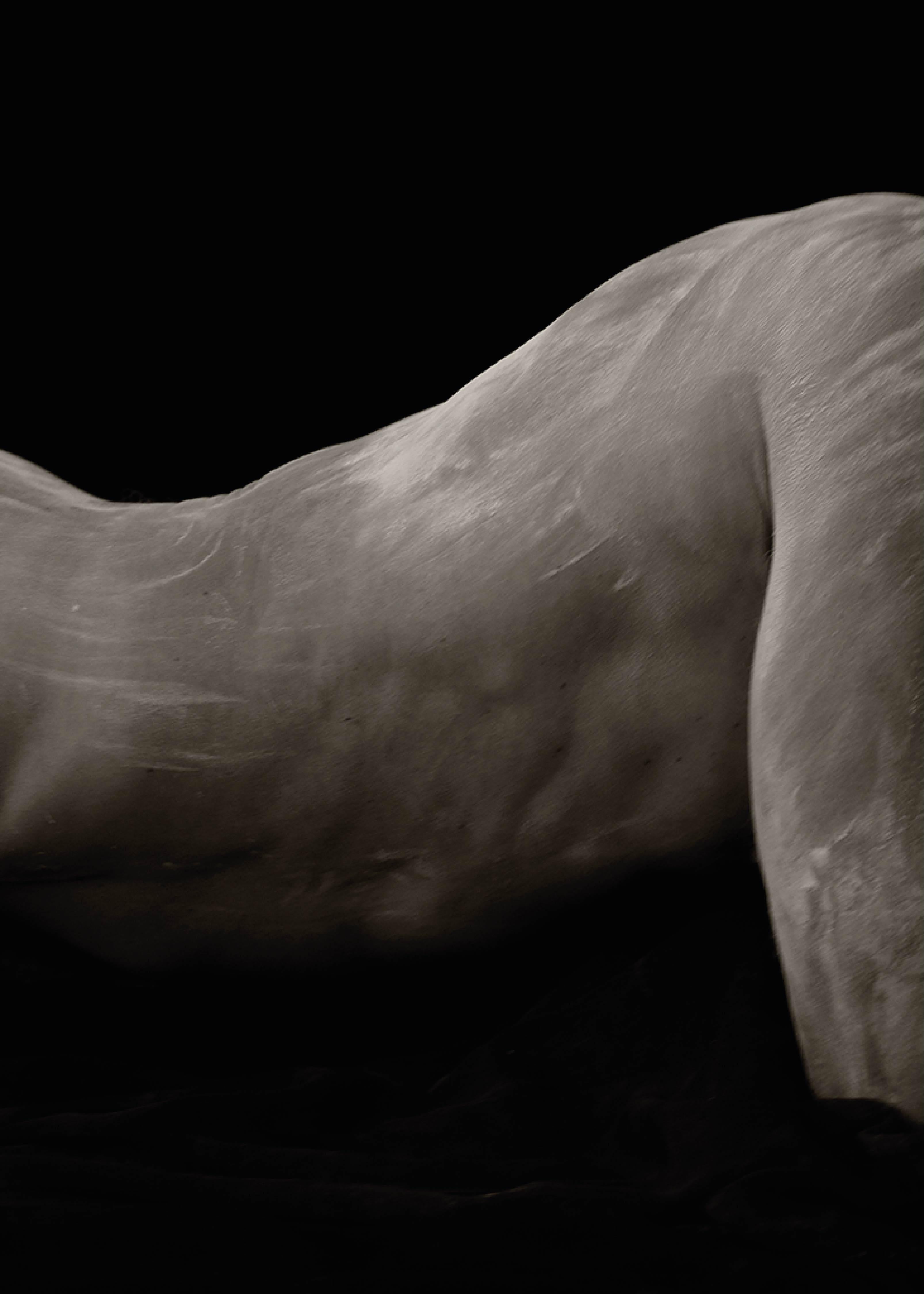 Sculpture of Cornelio, 3. Male Nude. Black and White Limited Edition Photograph For Sale 1